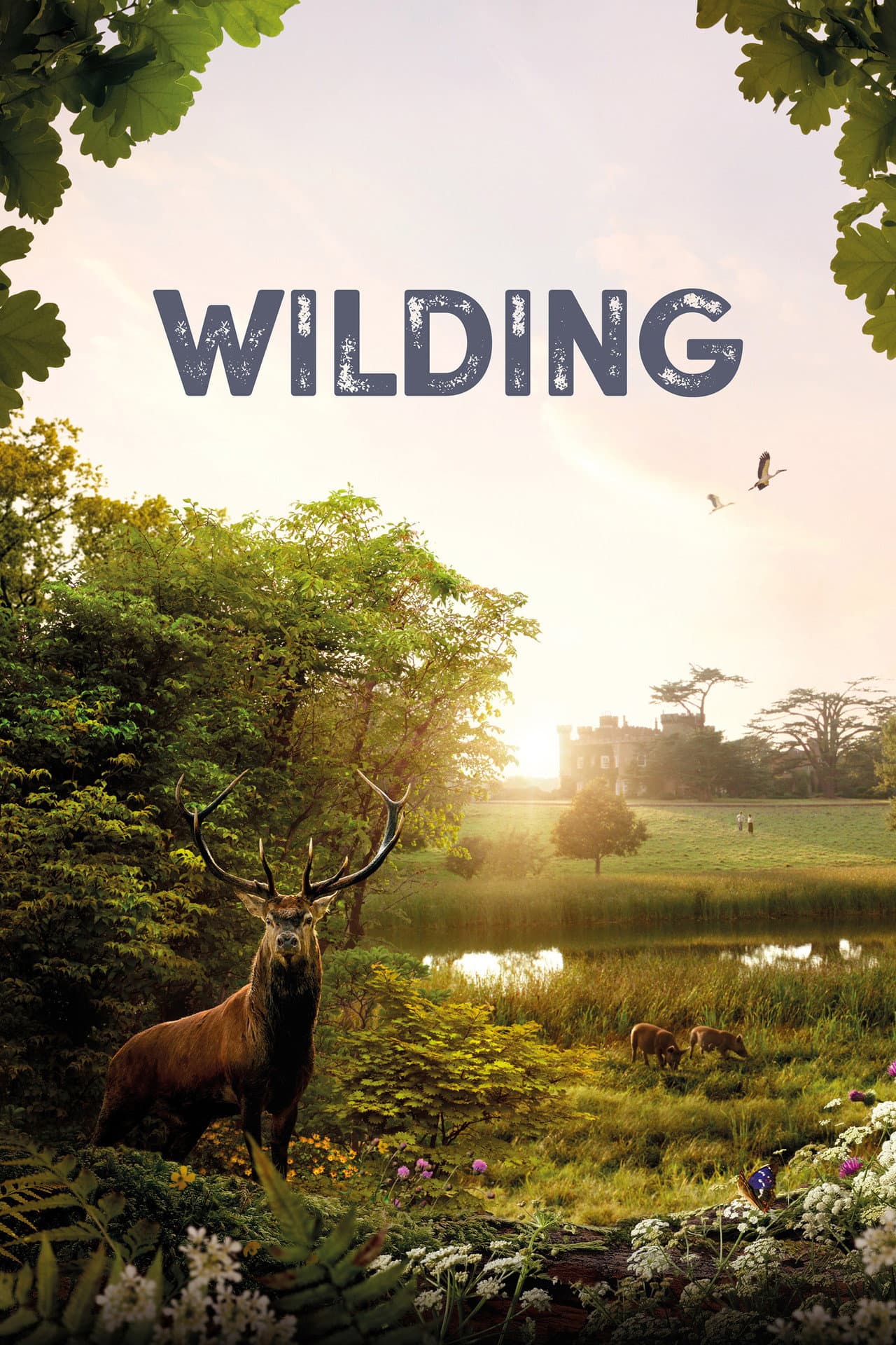 Wilding preview 2