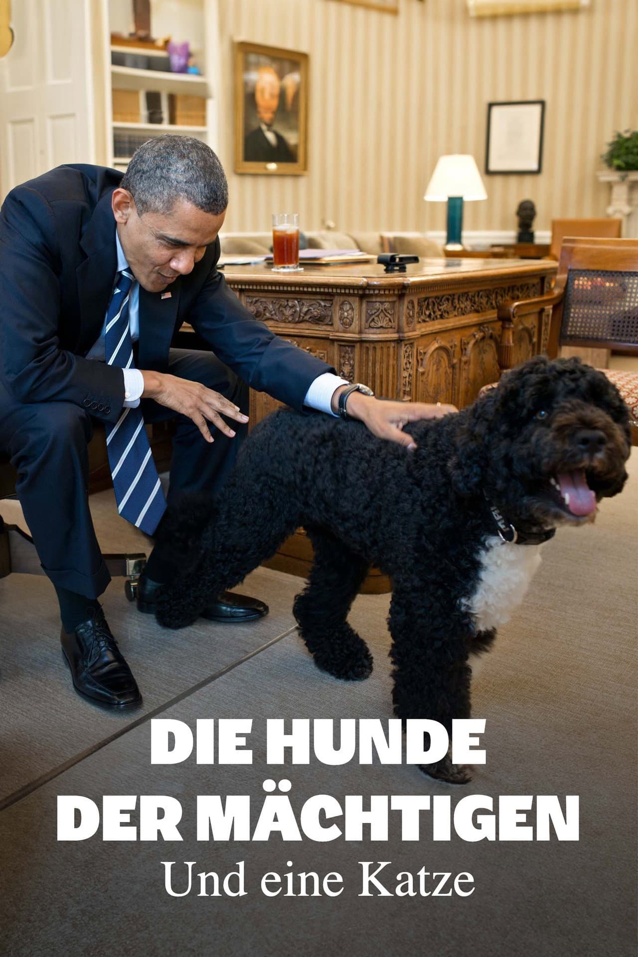 Die Hunde der Mächtigen - und eine Katze preview 2