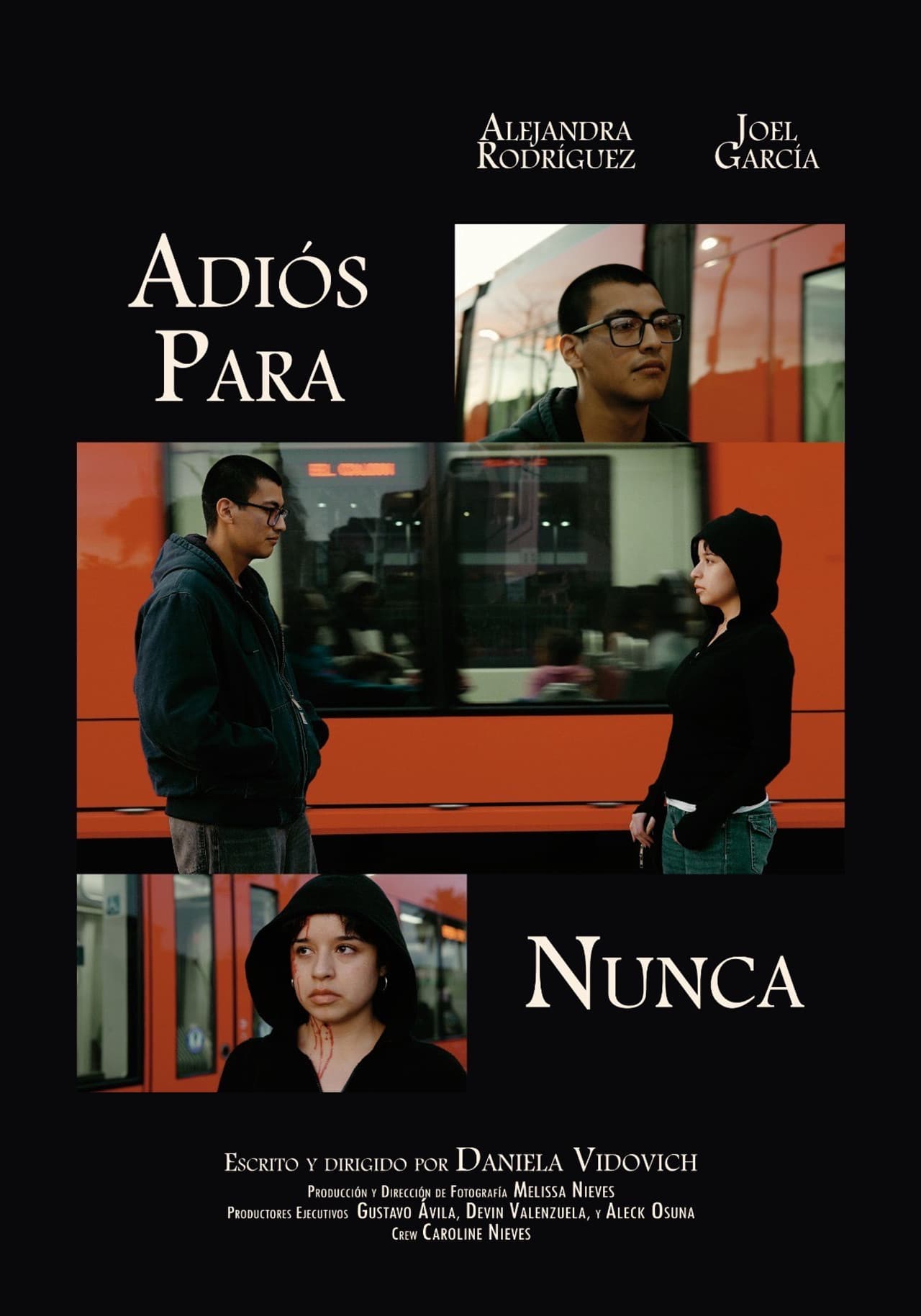 Adiós Para Nunca preview 2