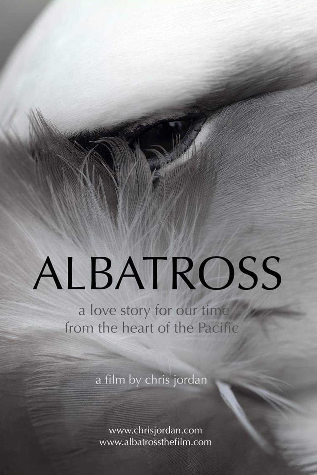 Albatross preview 2