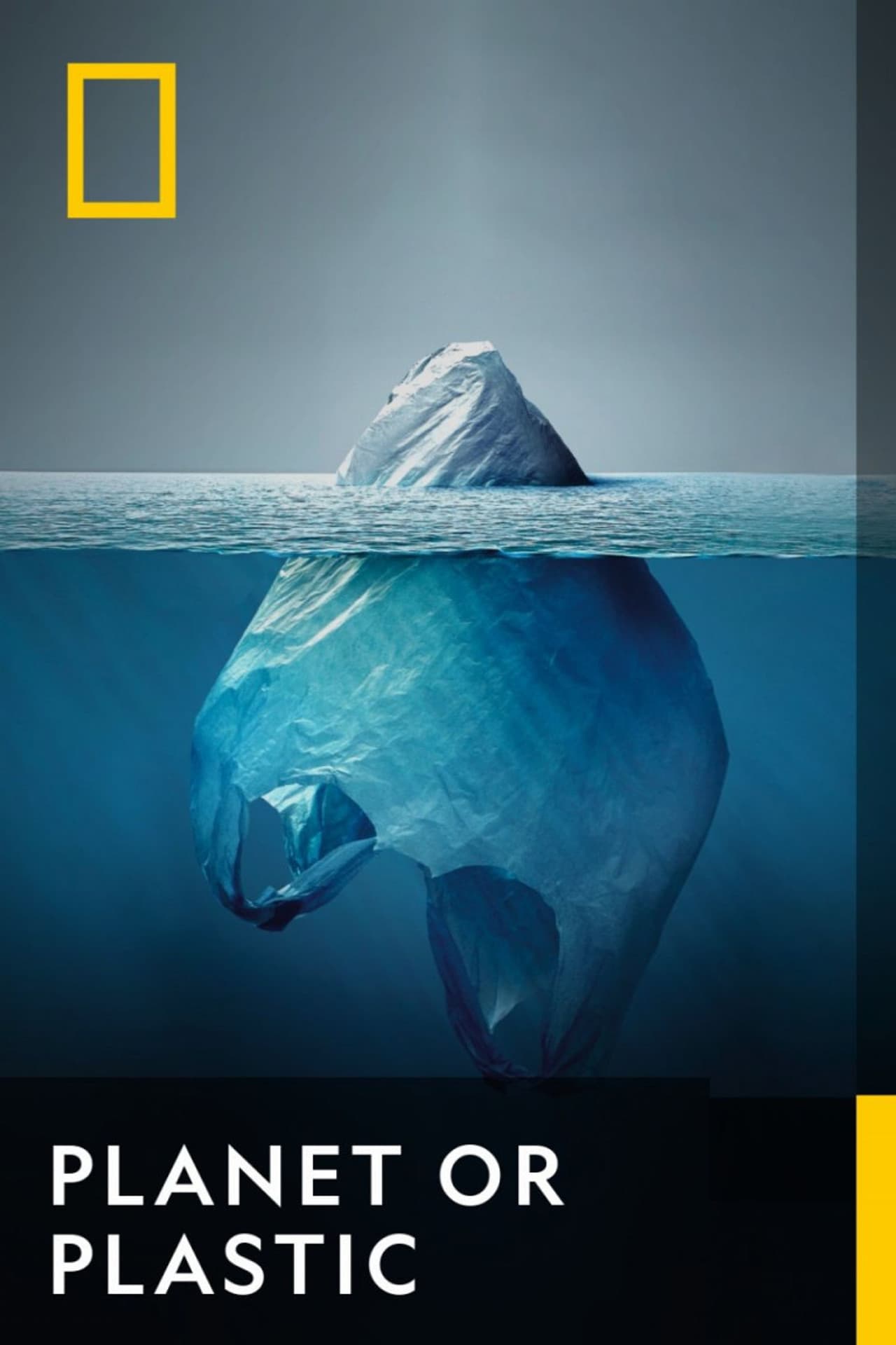 Planet or Plastic? preview 2