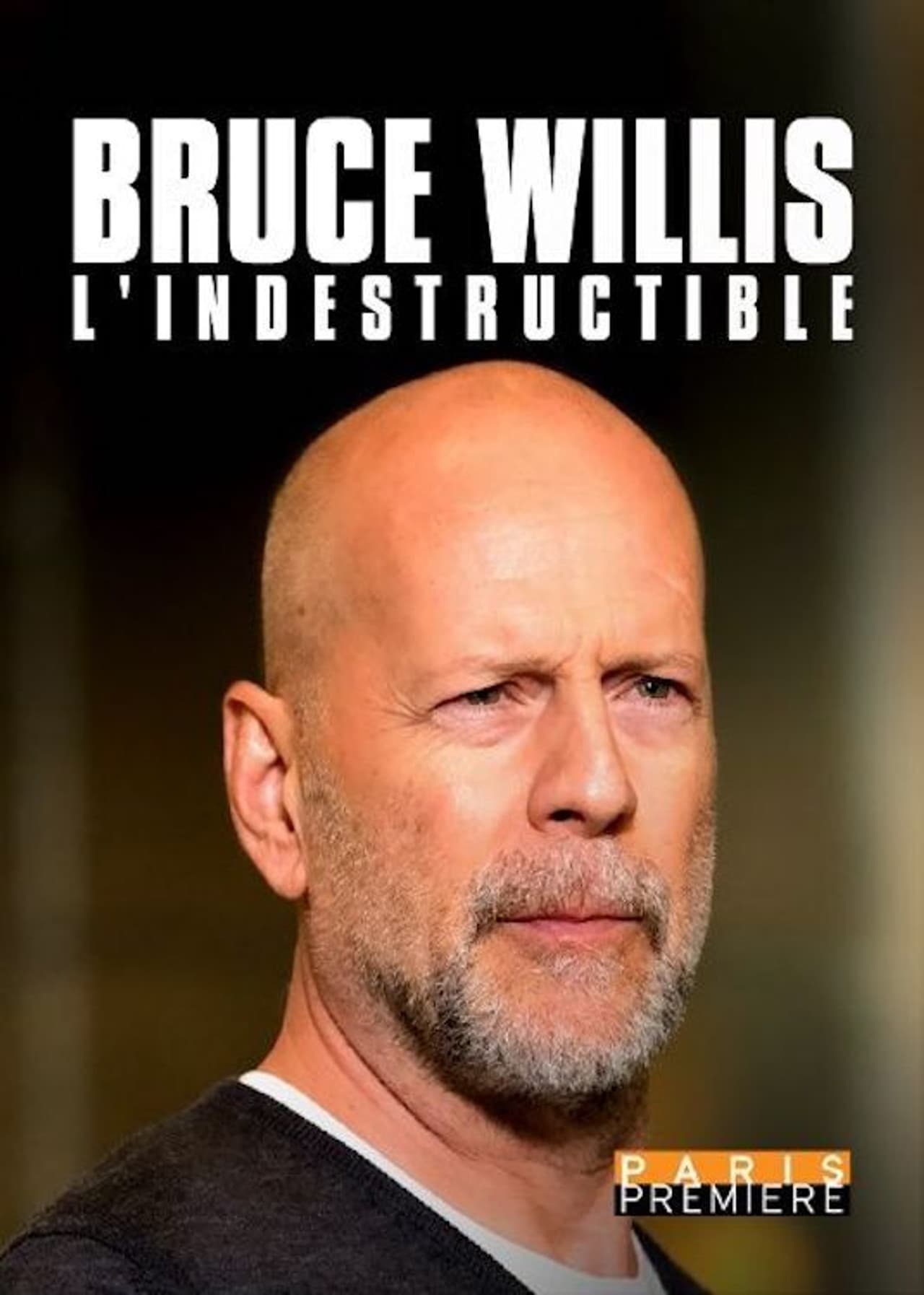 Bruce Willis, l'indestructible preview 2