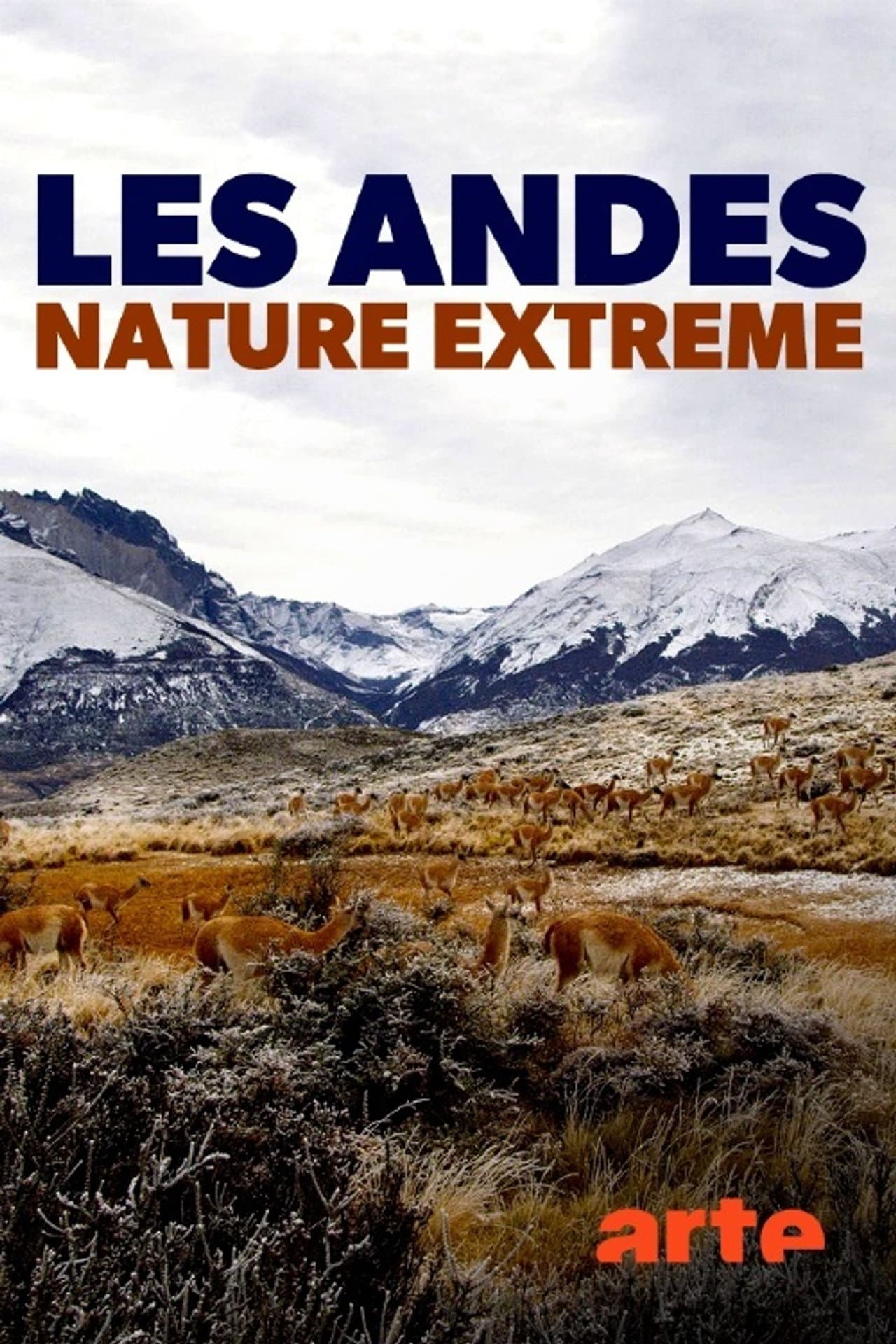 Die Anden - Natur am Limit preview 1