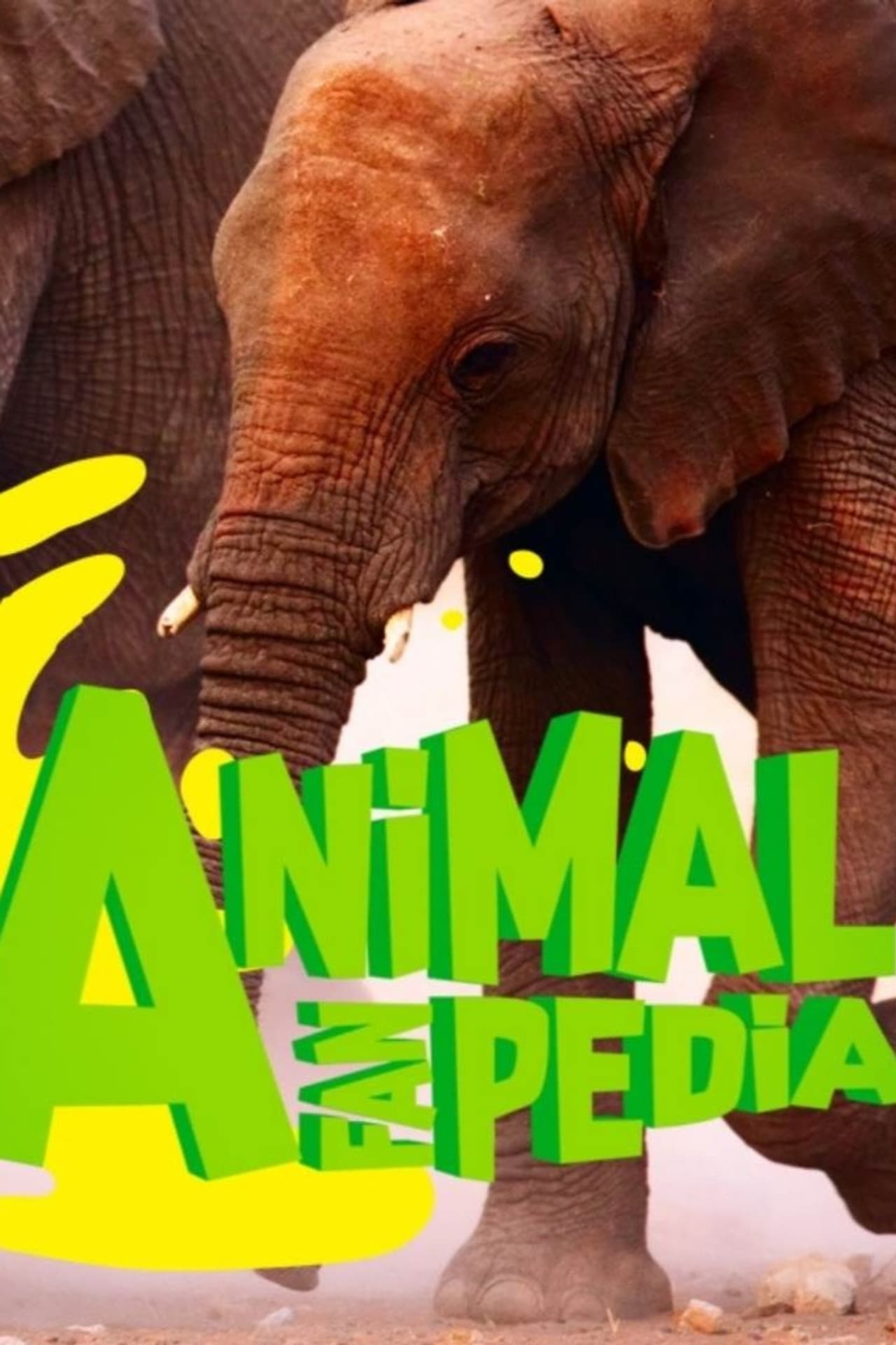 Animal Fanpedia preview 2