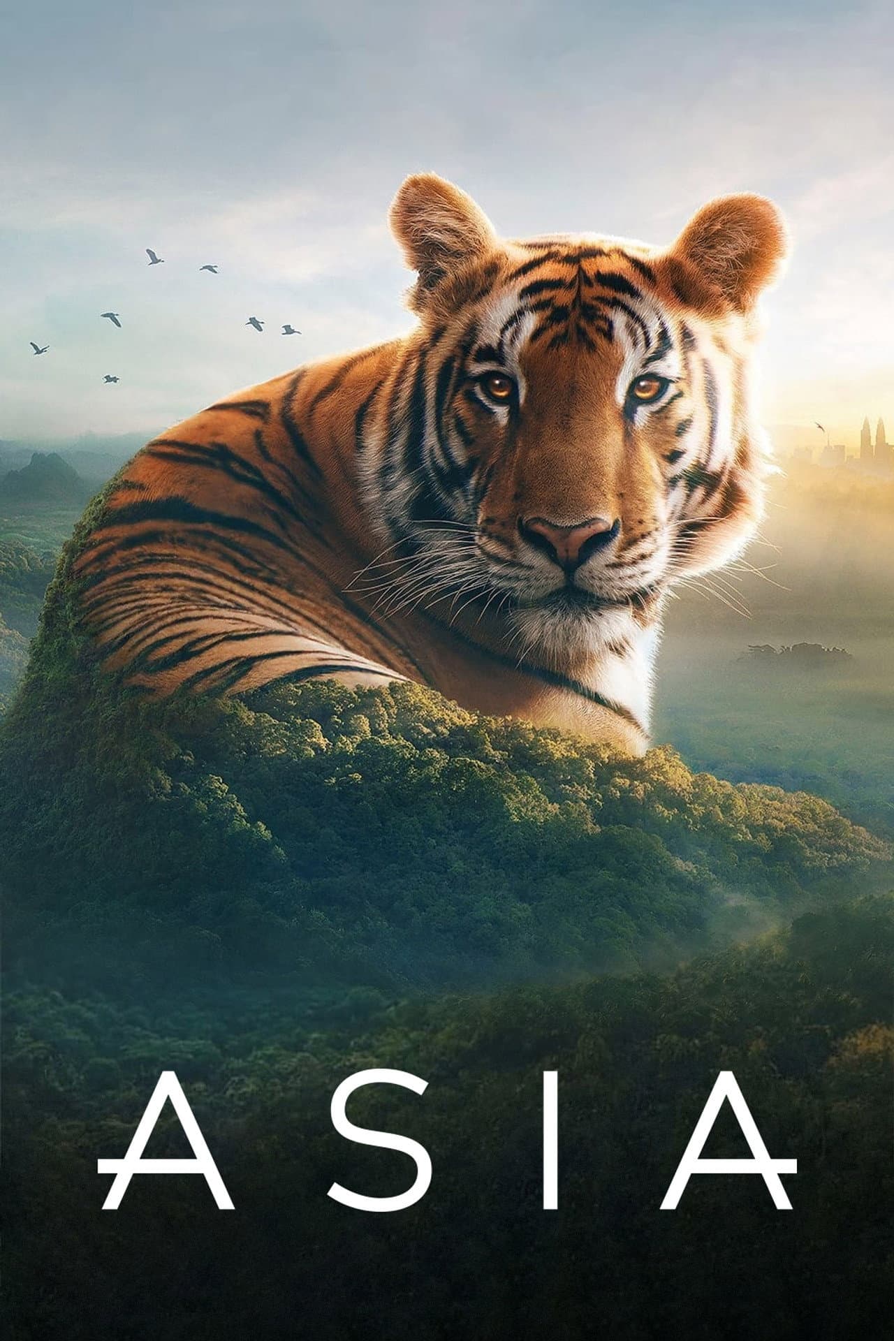 Asia preview 2
