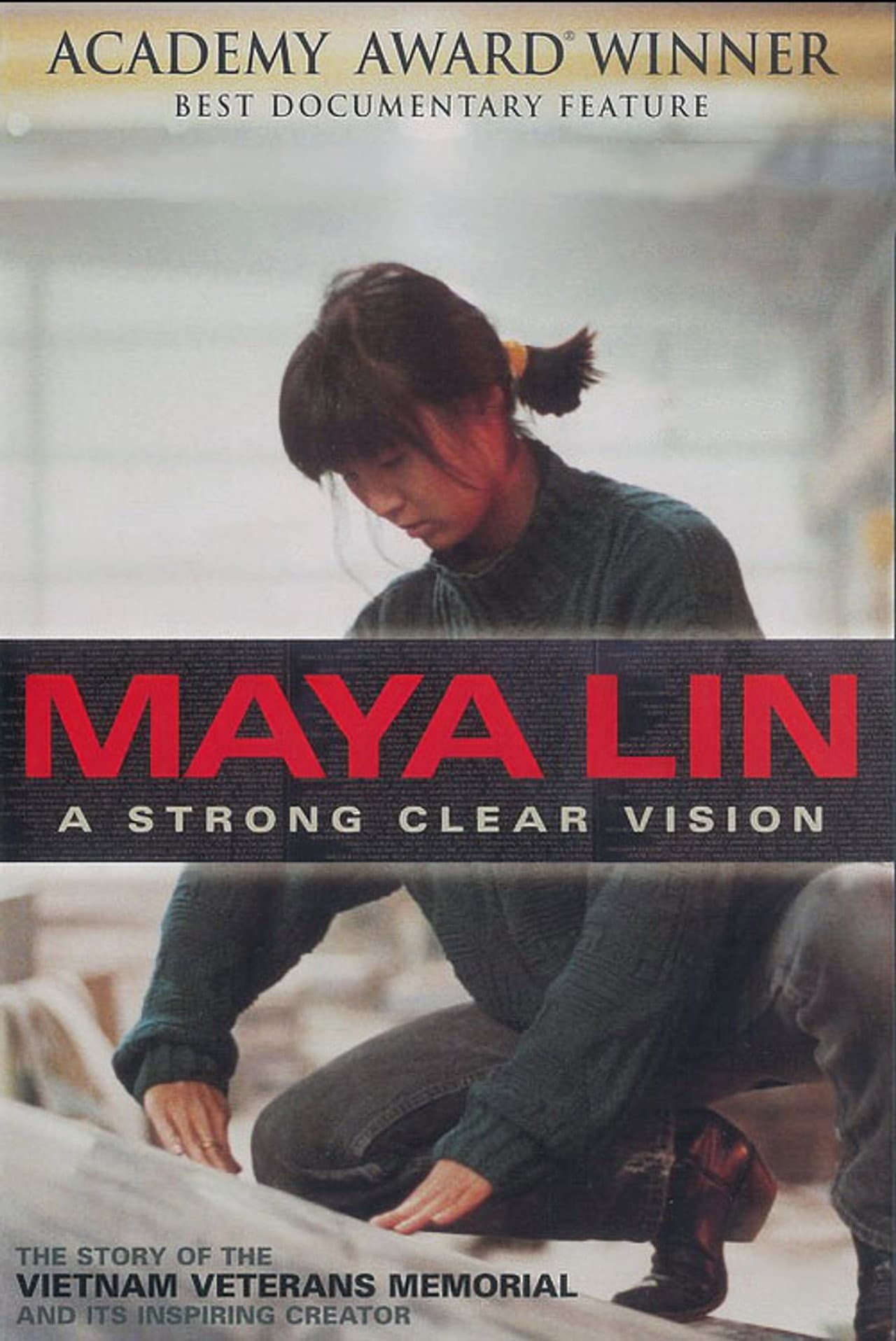 Maya Lin: A Strong Clear Vision preview 1