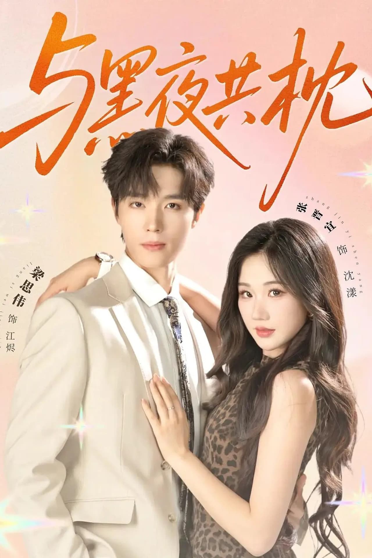 与黑夜共枕 preview 1