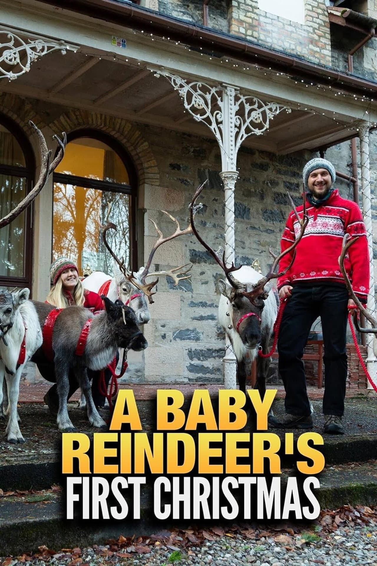 A Baby Reindeer's First Christmas preview 2