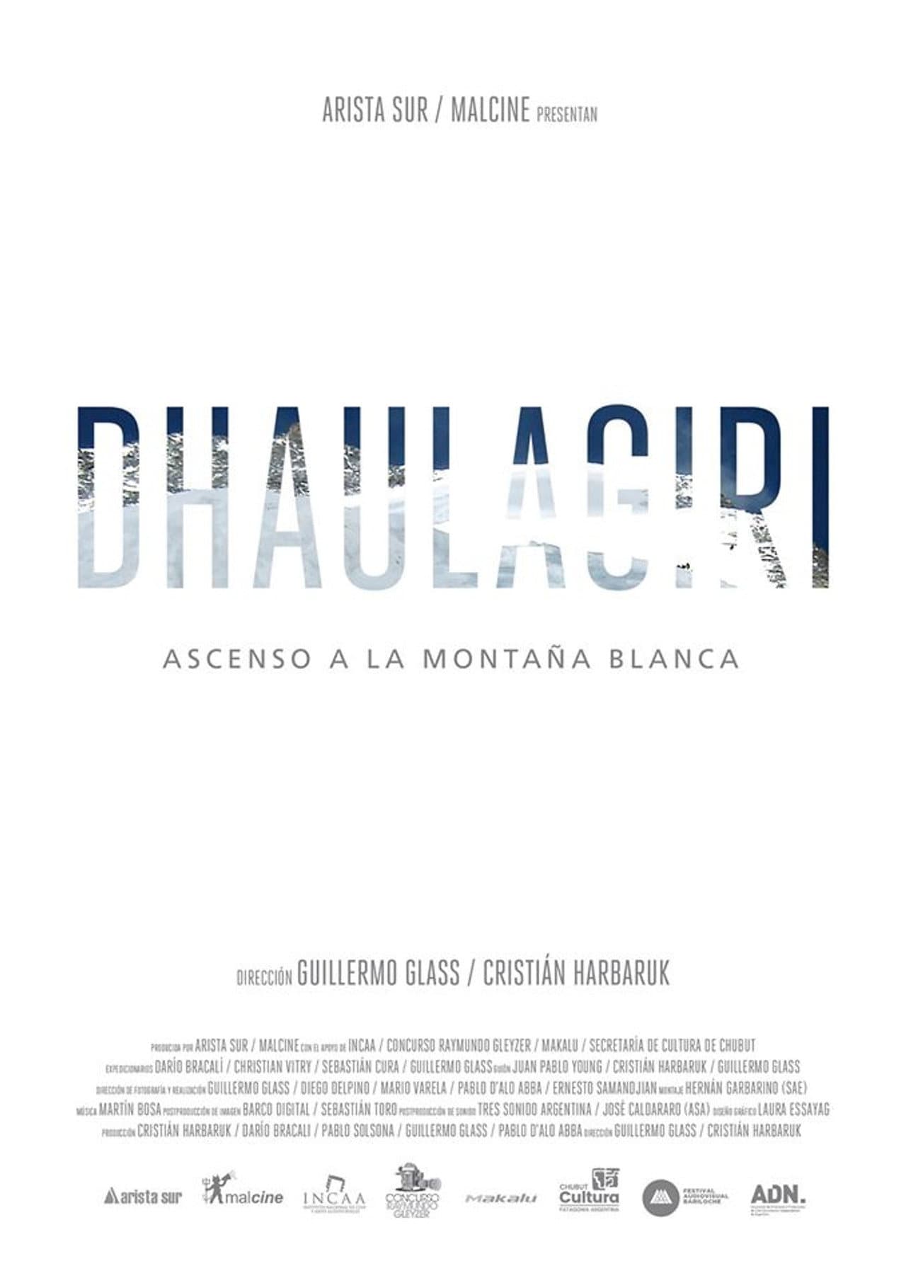 Dhaulagiri - Ascenso a la Montaña Blanca preview 1