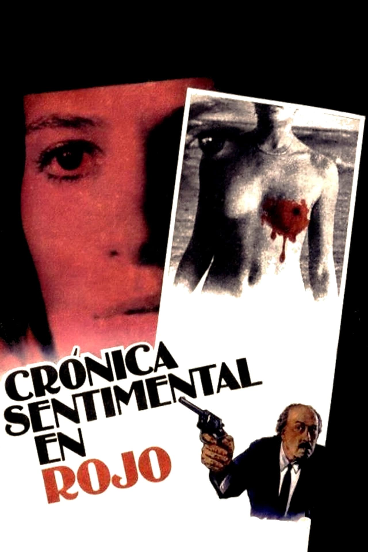 Crónica sentimental en rojo preview 2