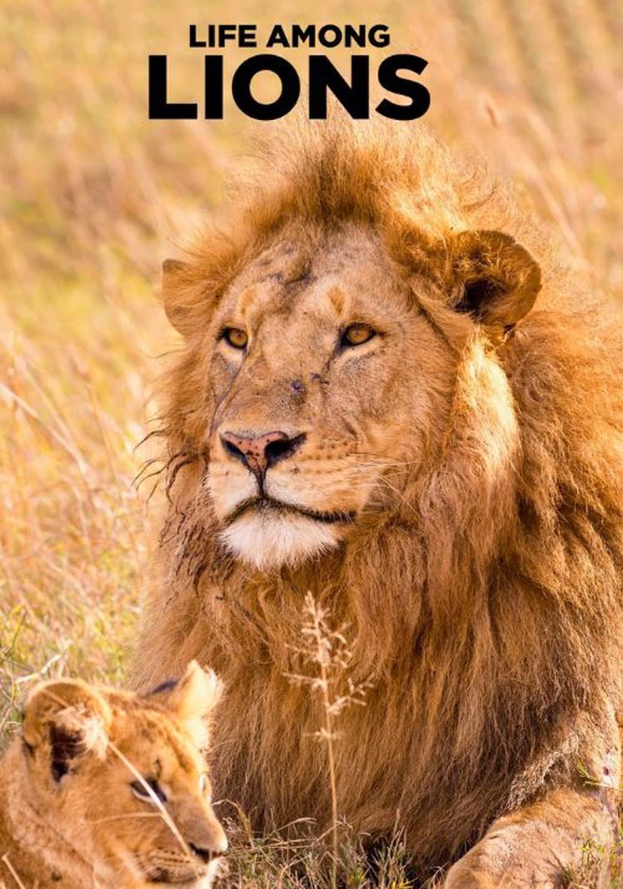 Life Among Lions preview 2