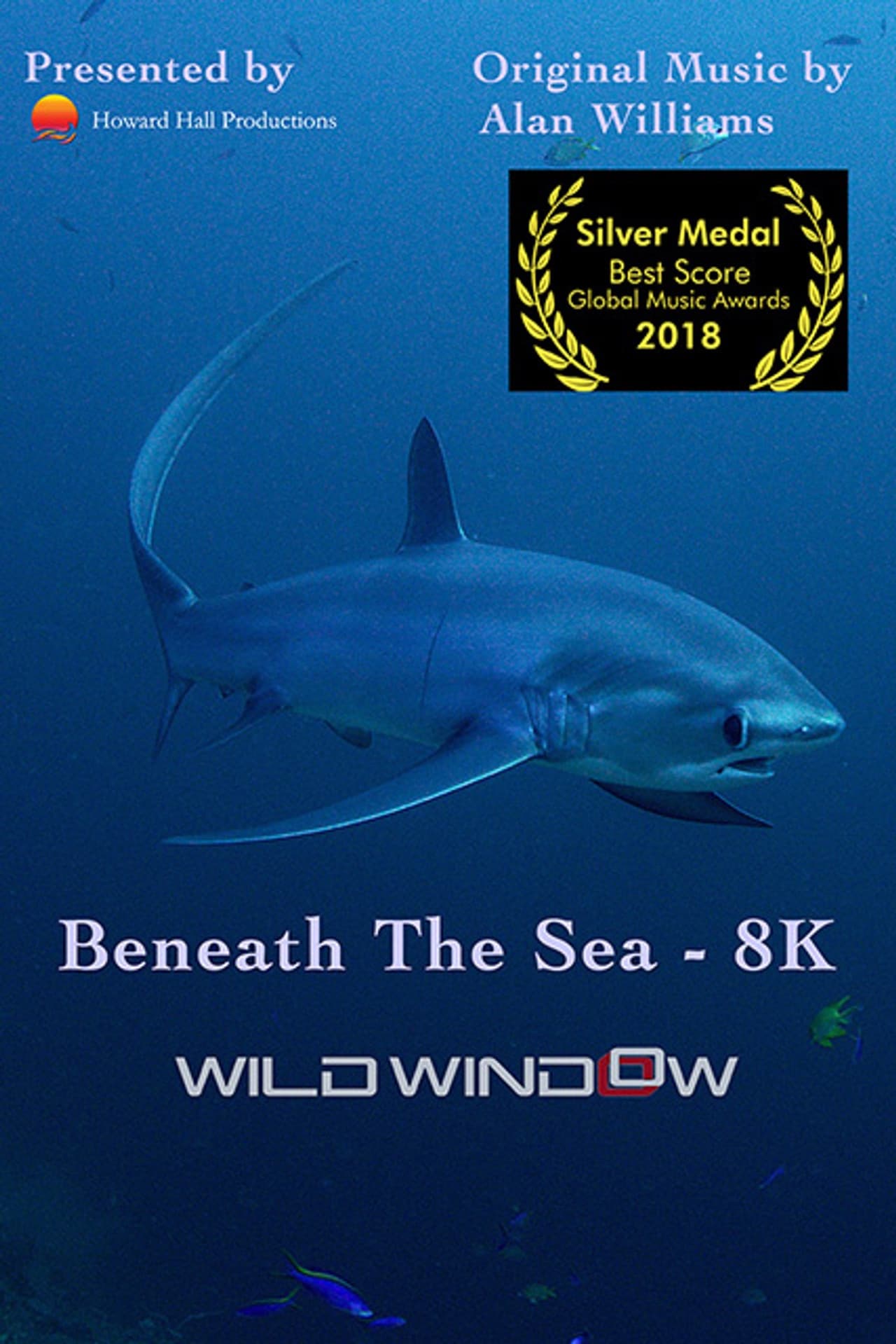 Wild Window: Beneath the Sea preview 1