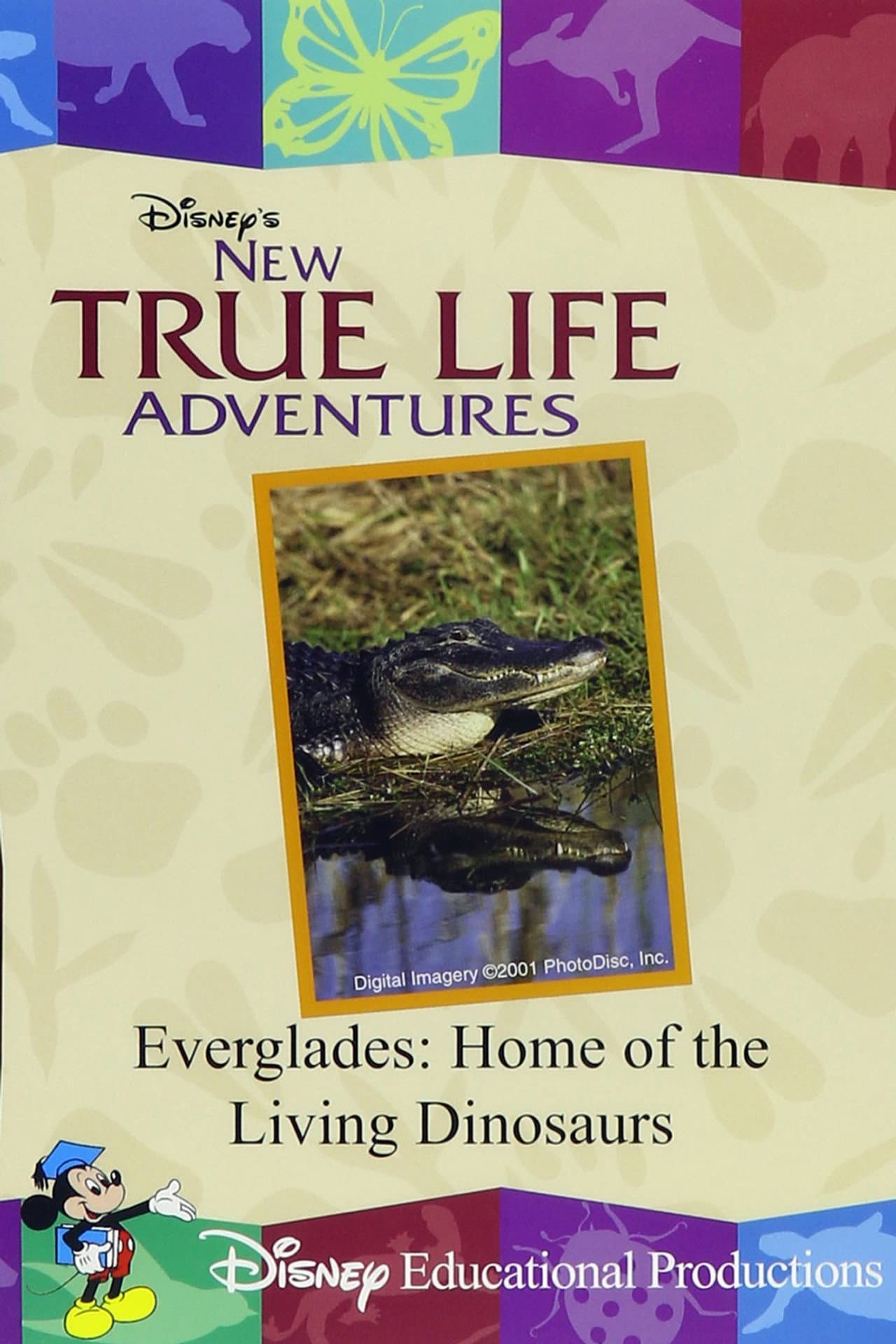 Everglades: Home of the Living Dinosaurs preview 1