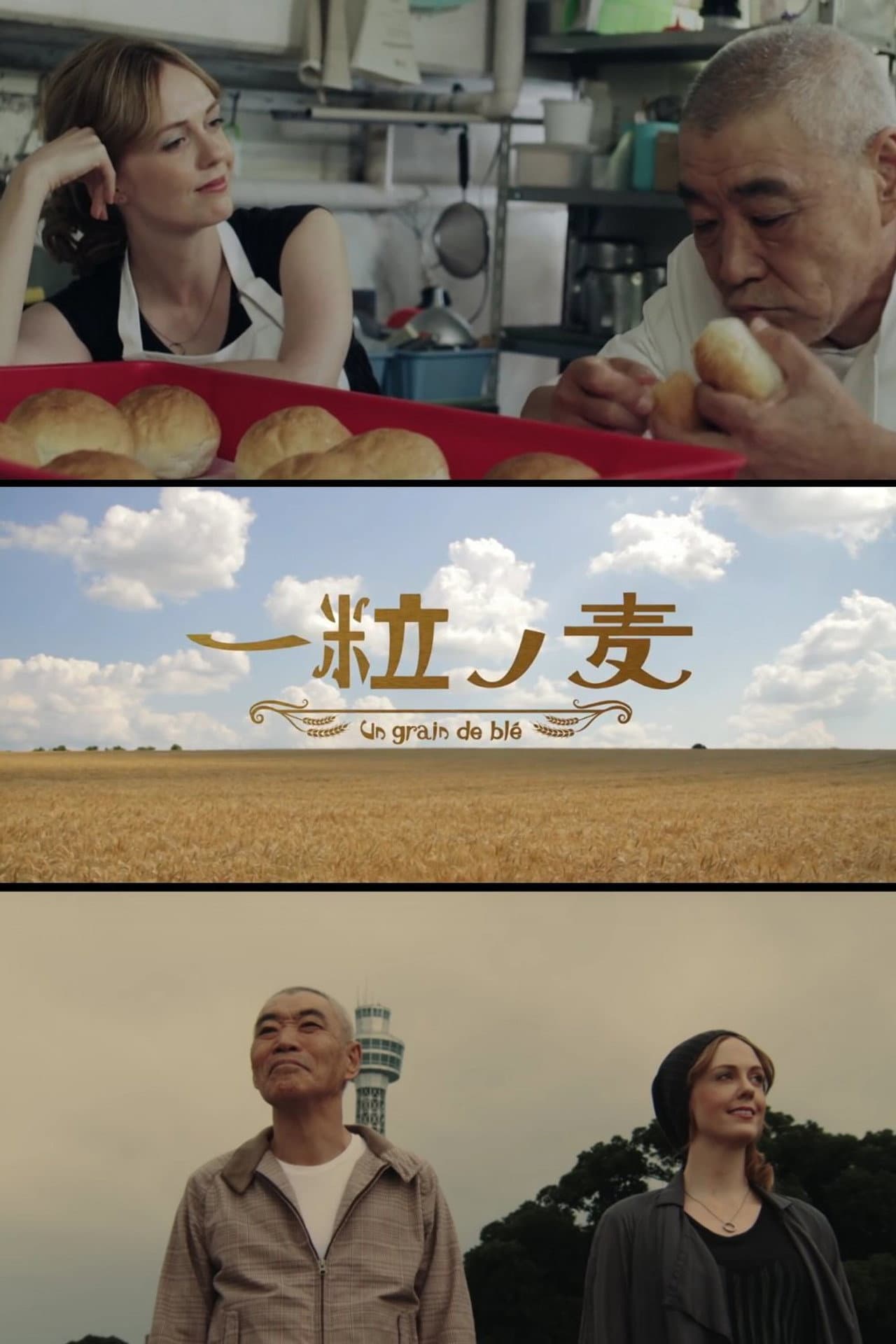 A Grain of Wheat preview 2