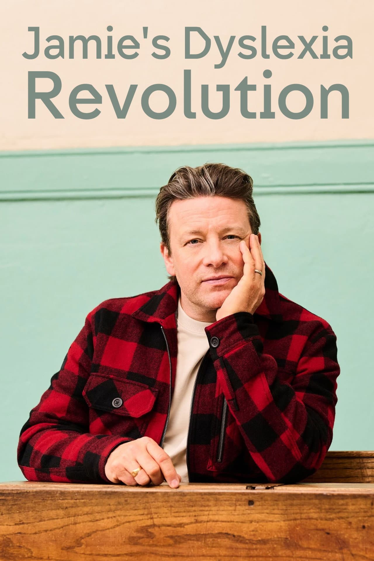 Jamie's Dyslexia Revolution preview 2
