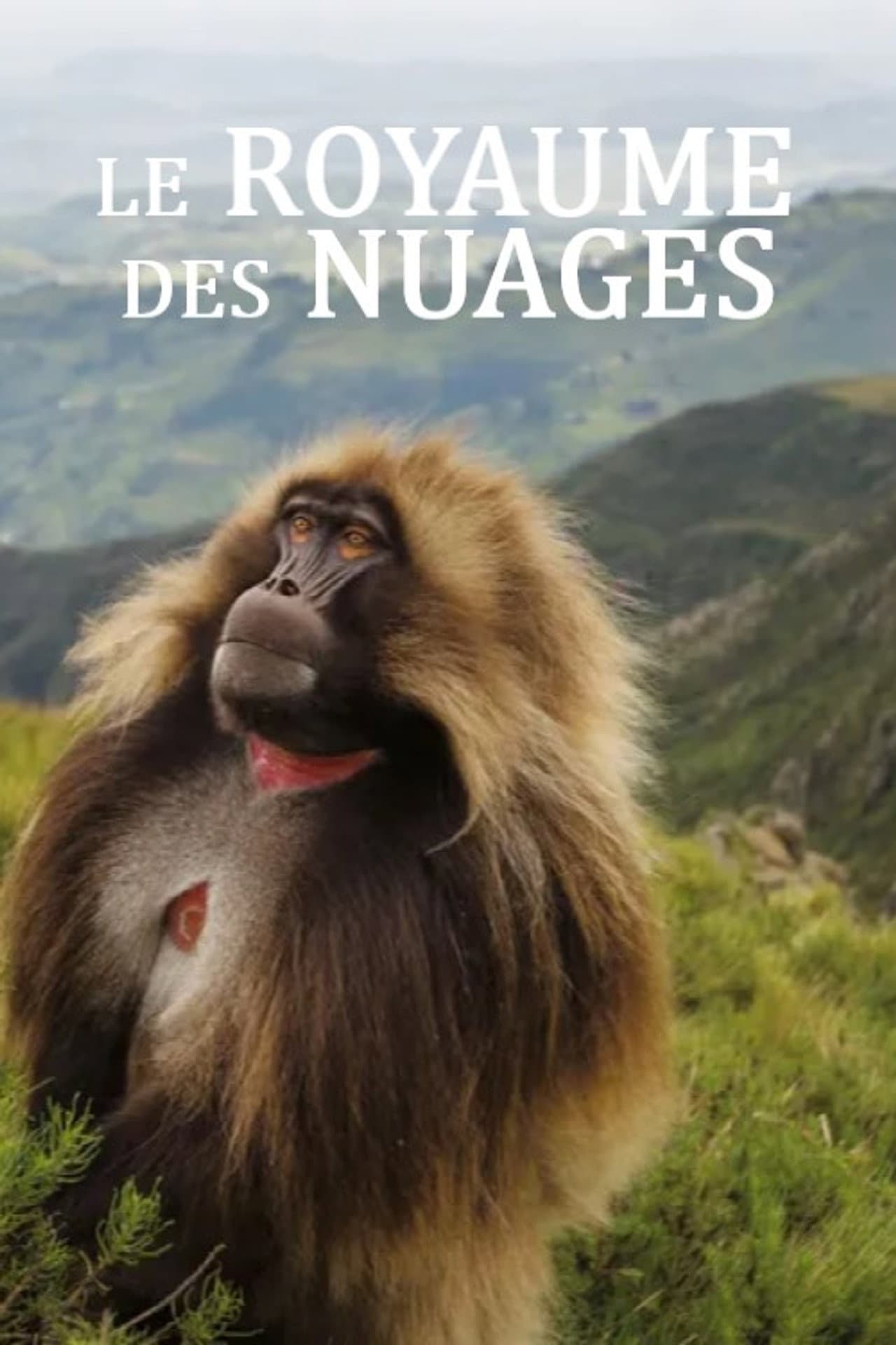 Le royaume des nuages preview 2