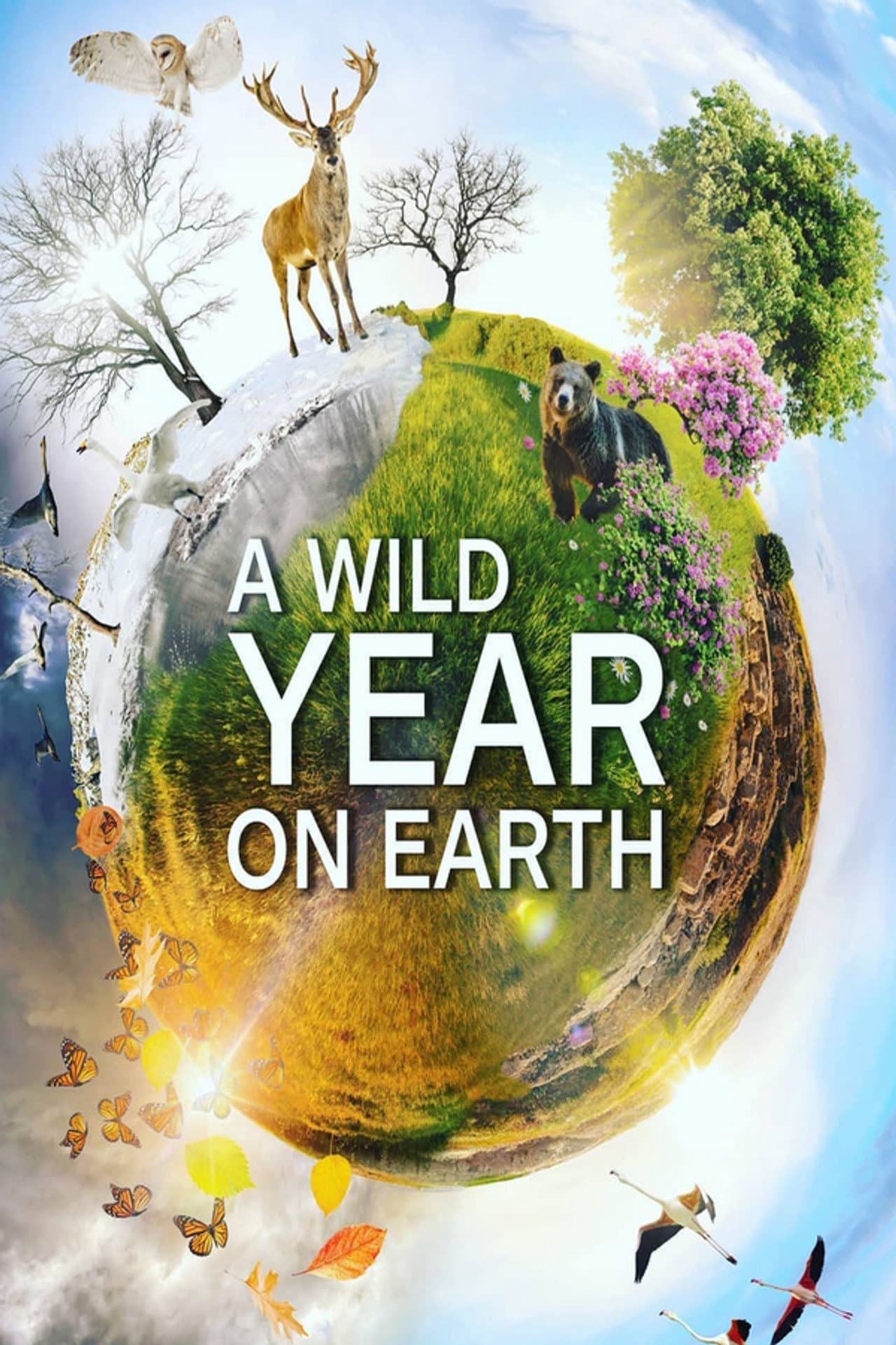 A Wild Year On Earth preview 2