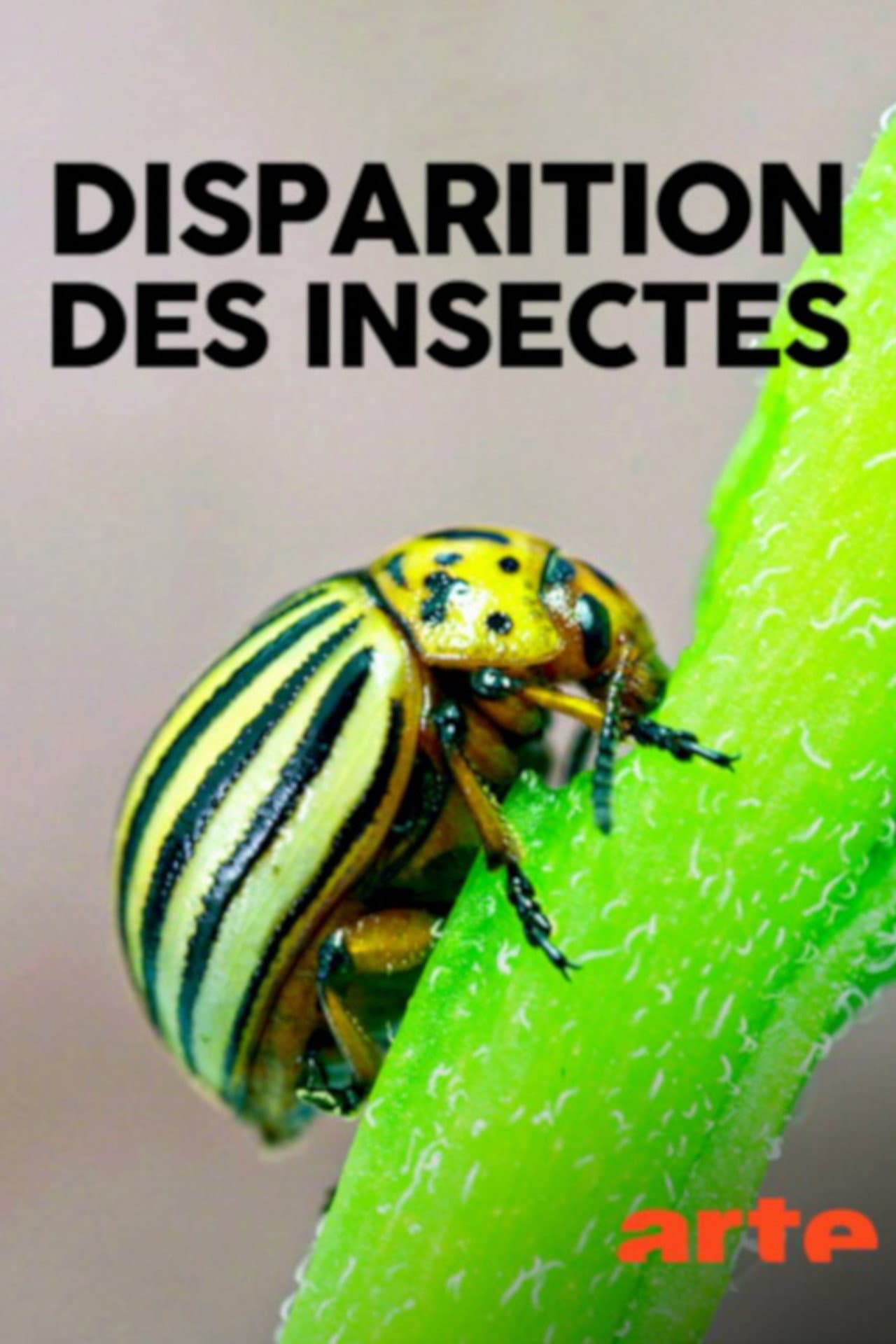 Das große Insektensterben preview 1