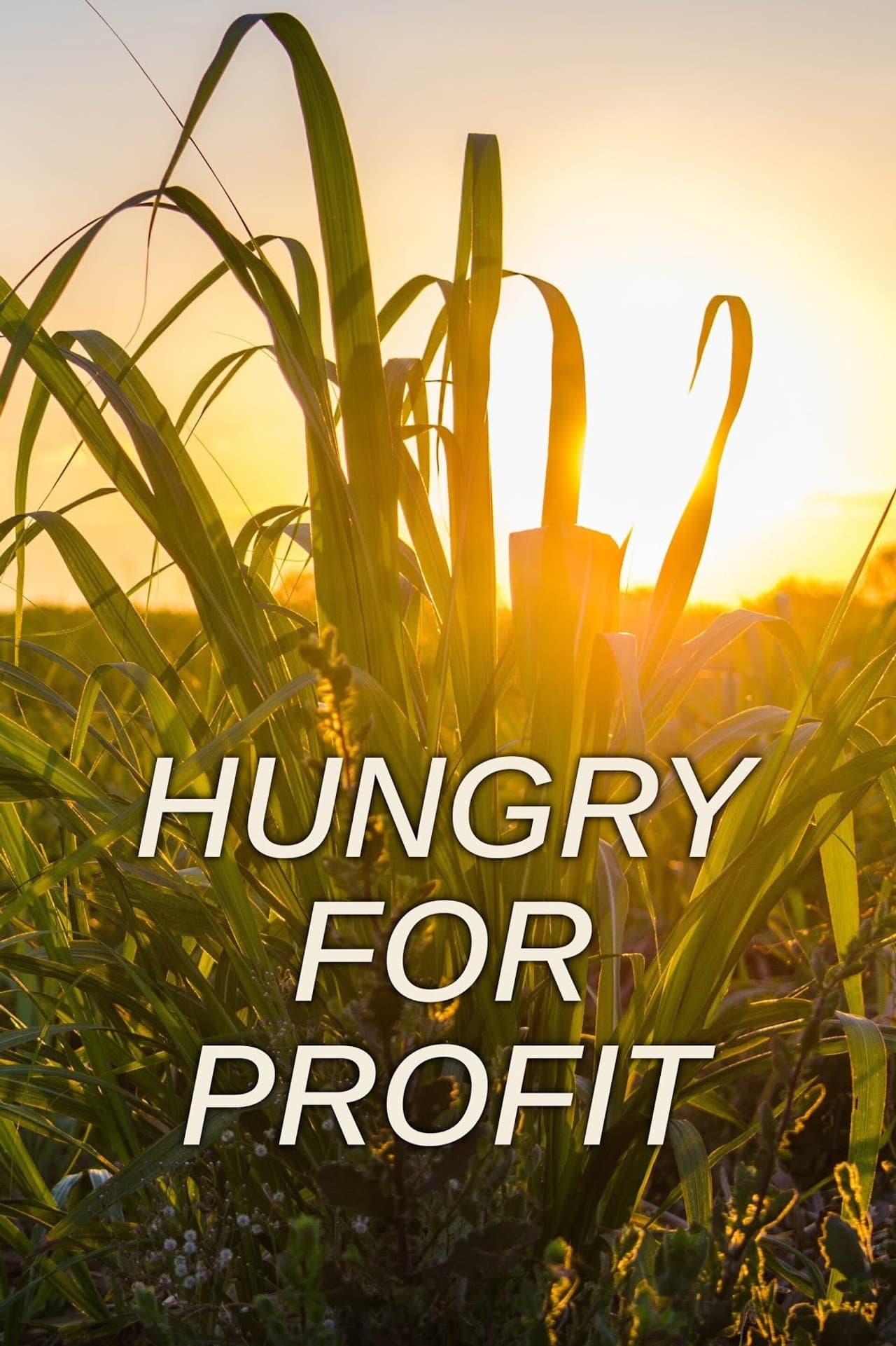 Hungry for Profit preview 1