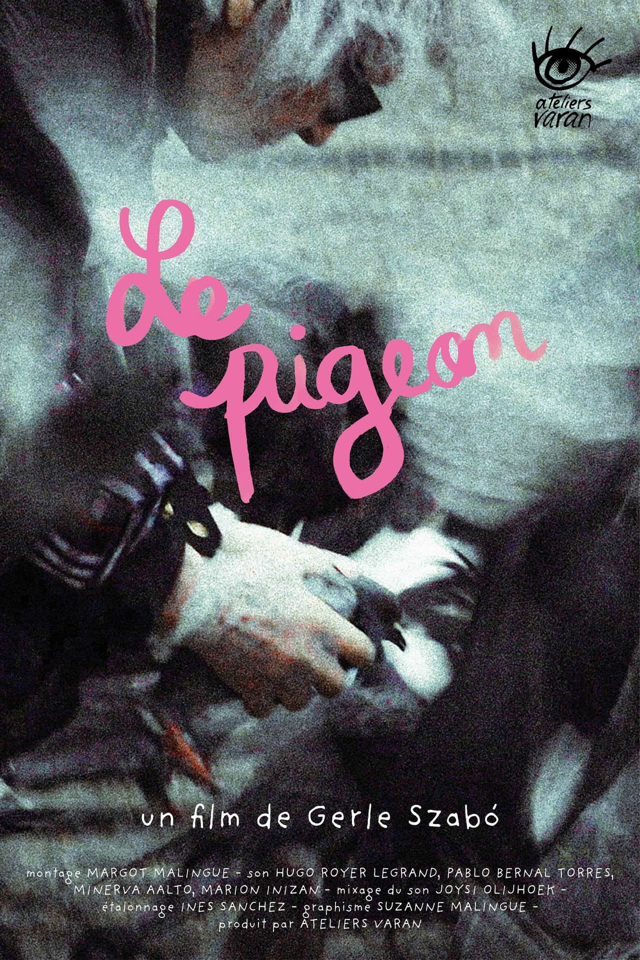 The Pigeon preview 2