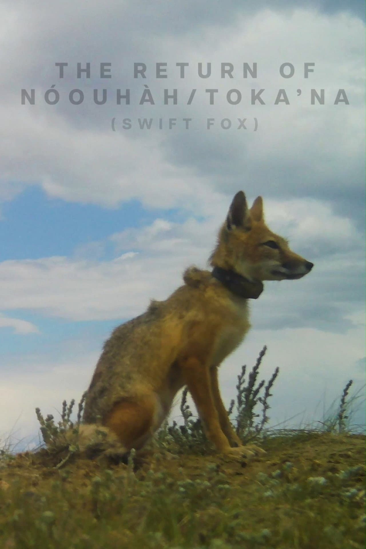 The Return of Nóouhàh-Toka’na preview 2