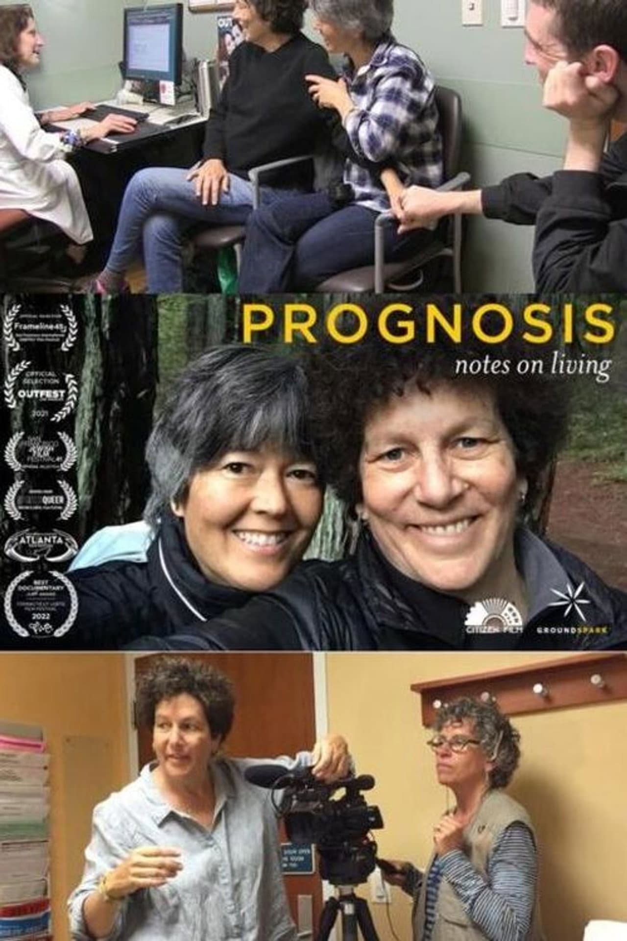 Prognosis: Notes on Living preview 1