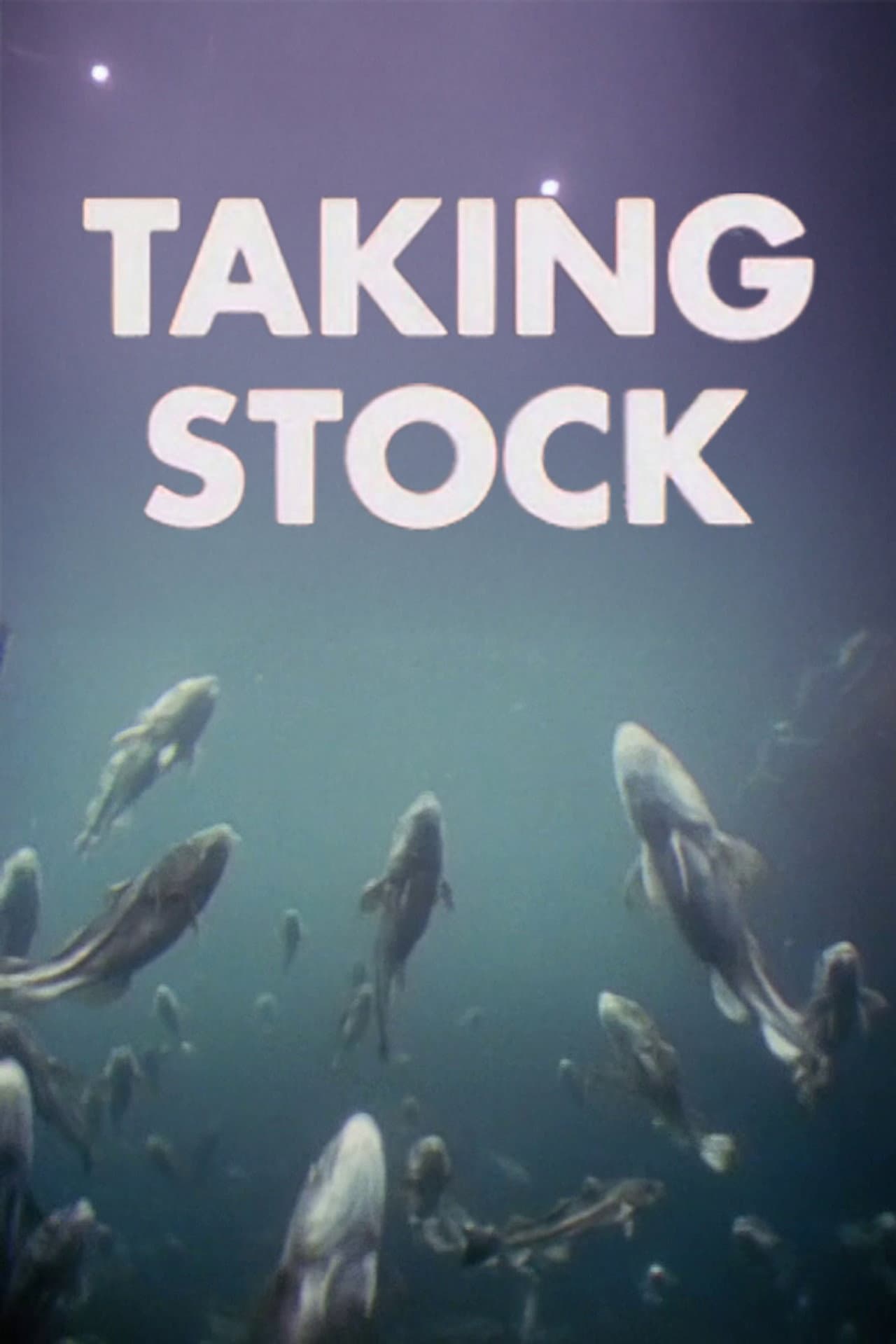 Taking Stock preview 2