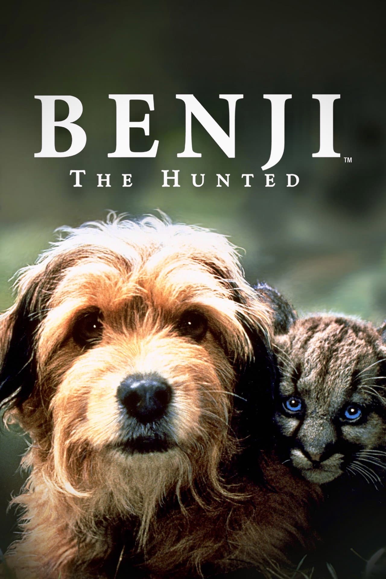 Benji the Hunted preview 2
