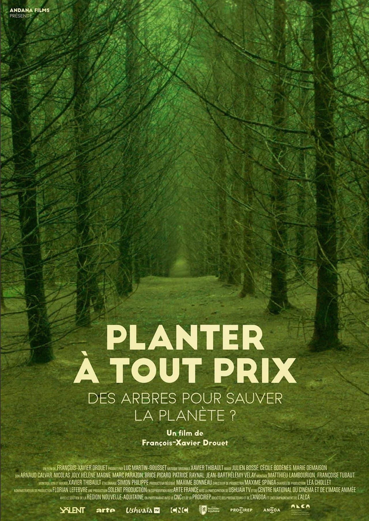 Planter à tout prix - Des arbres pour sauver la planète ? preview 2