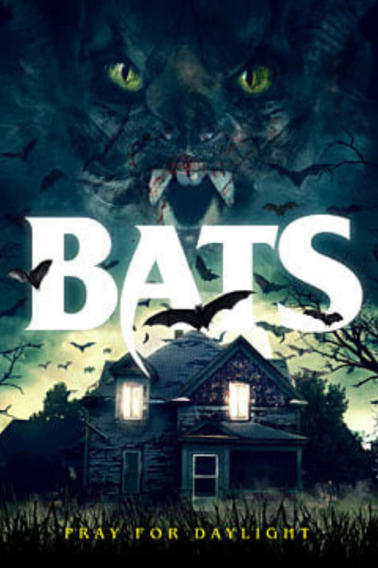 Bats preview 2