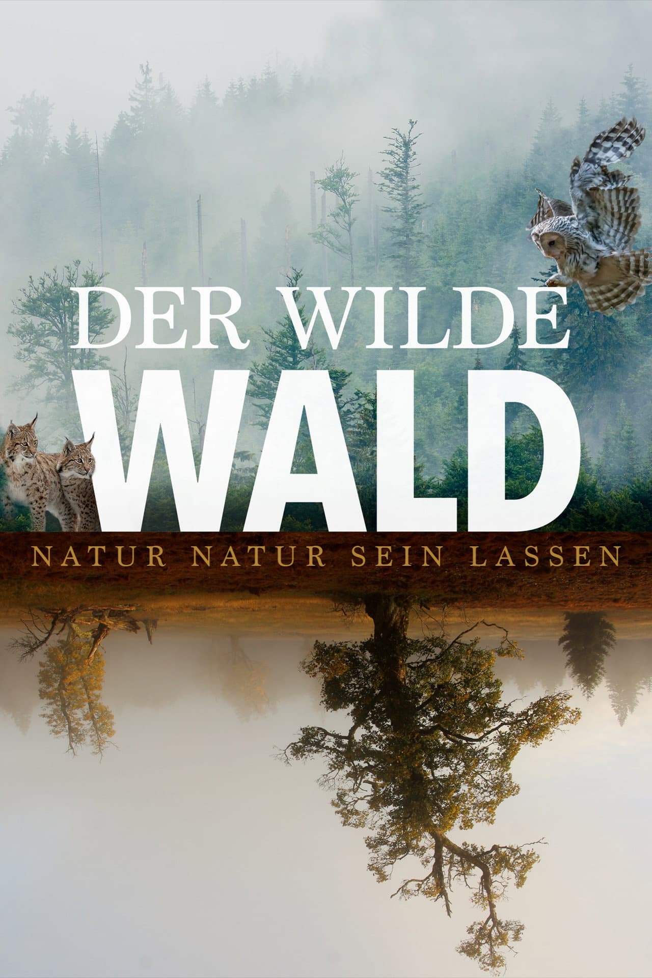 The Wild Forest preview 2