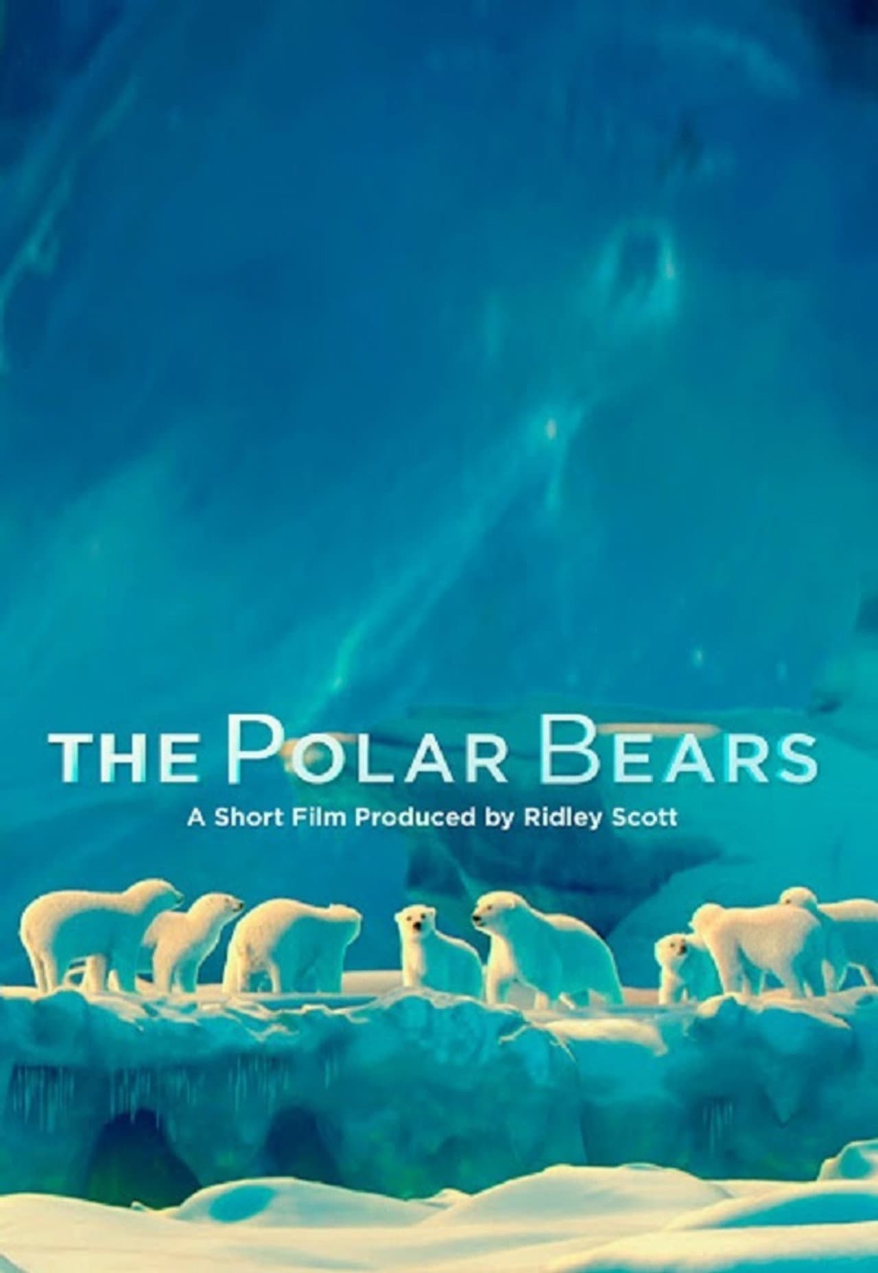 The Polar Bears preview 2