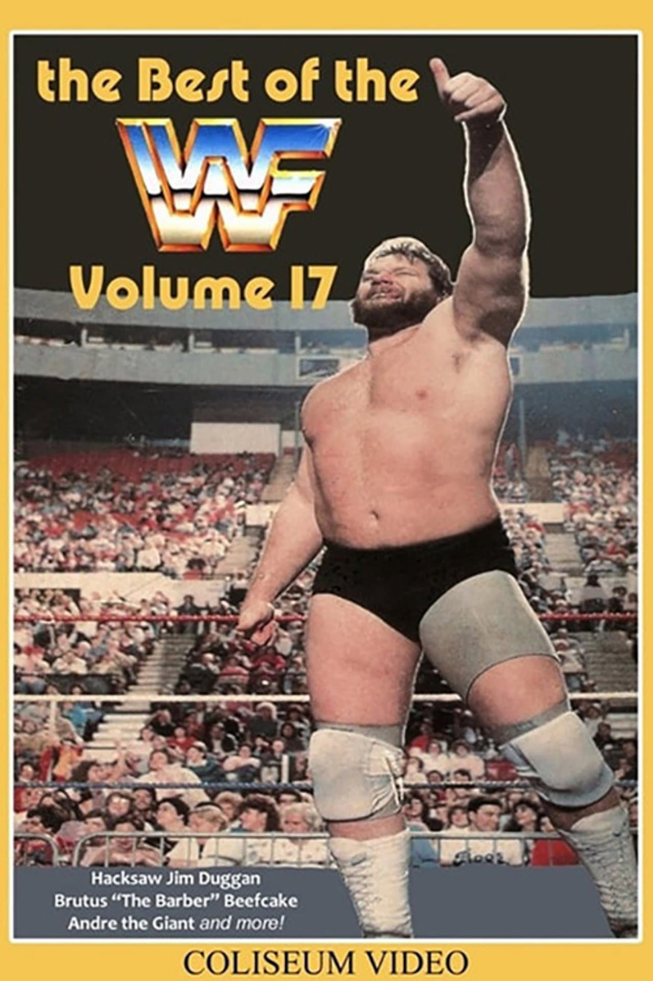 The Best of the WWF: volume 17 preview 1