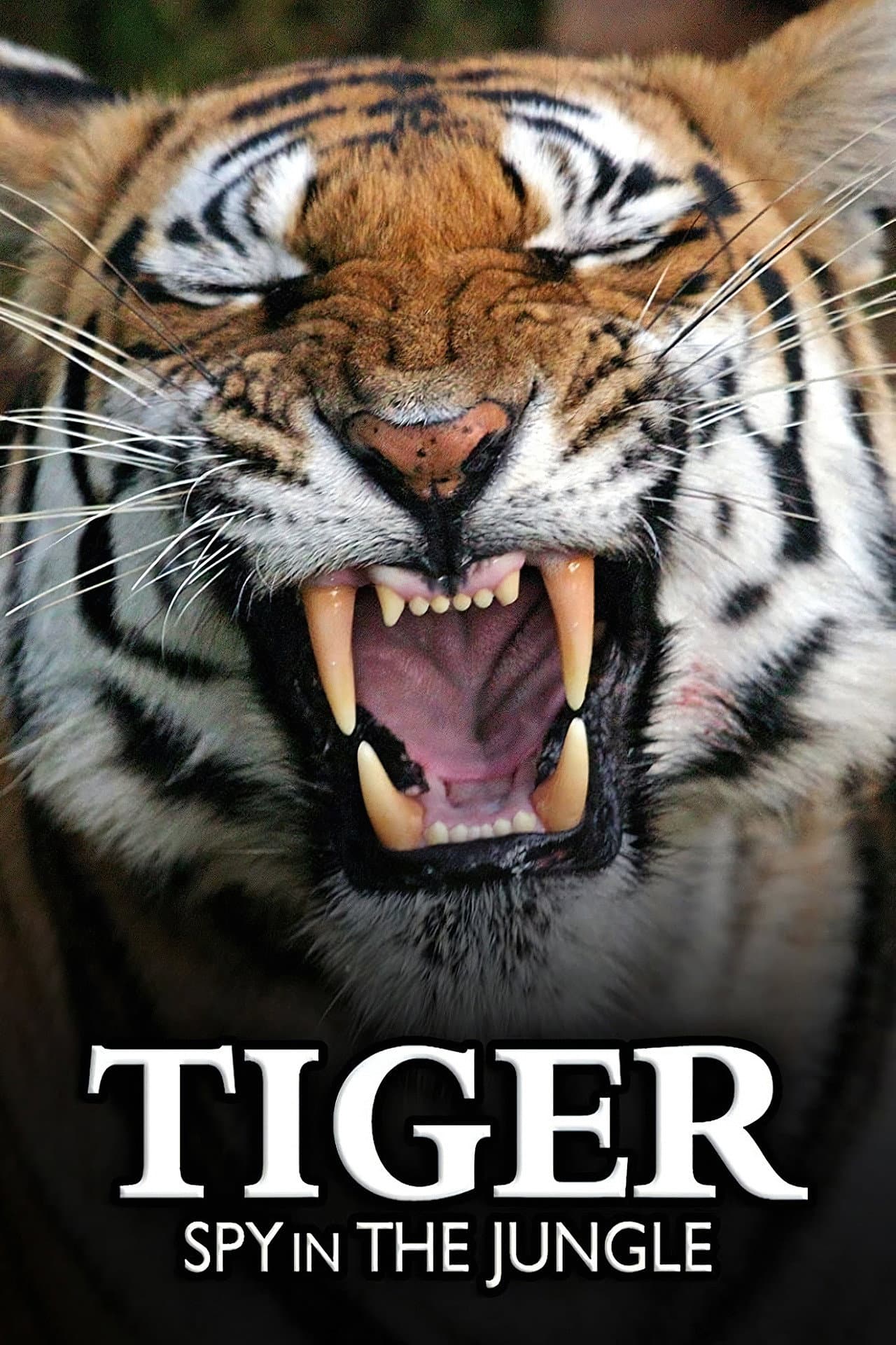 Tiger: Spy In The Jungle preview 2