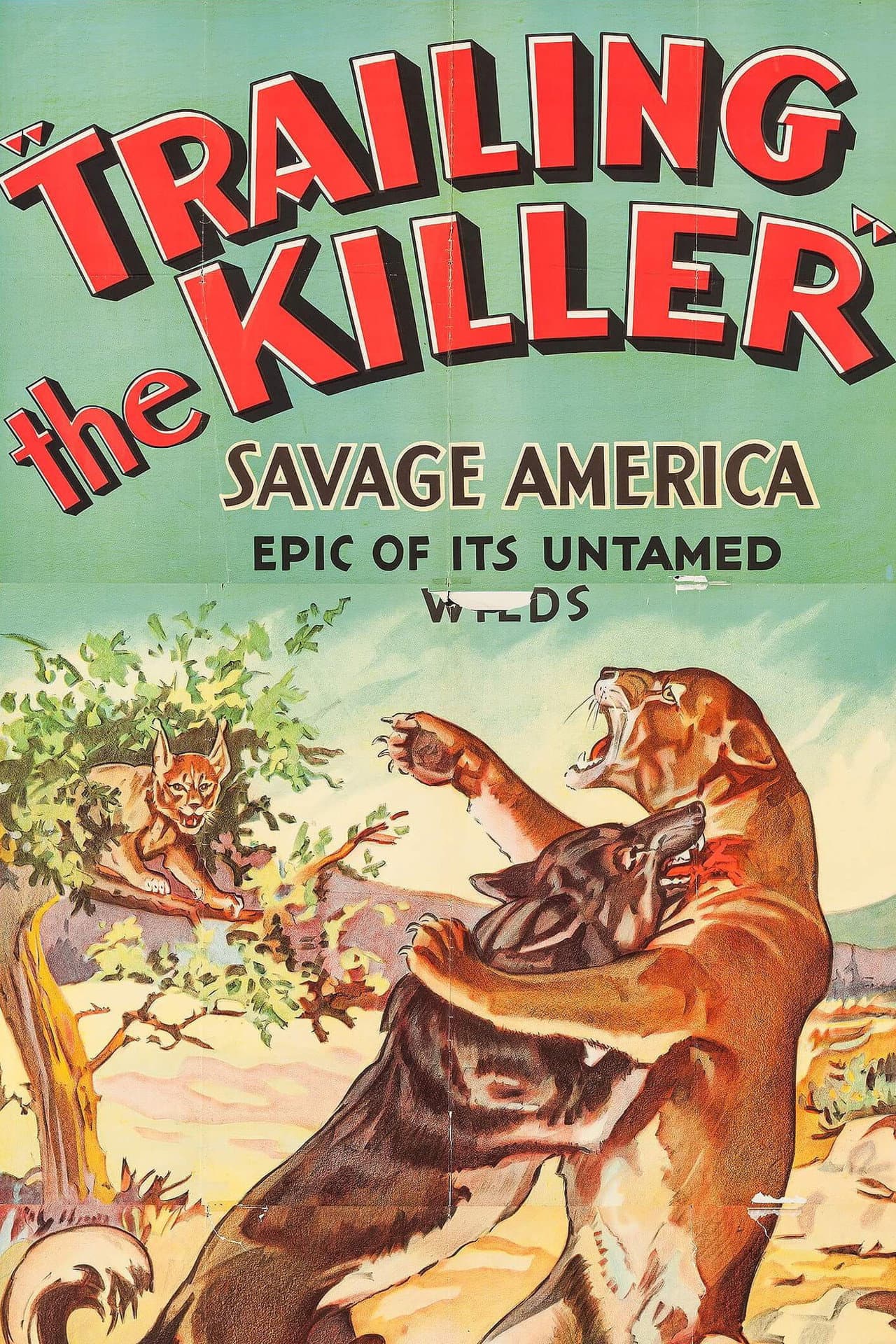 Trailing the Killer preview 2