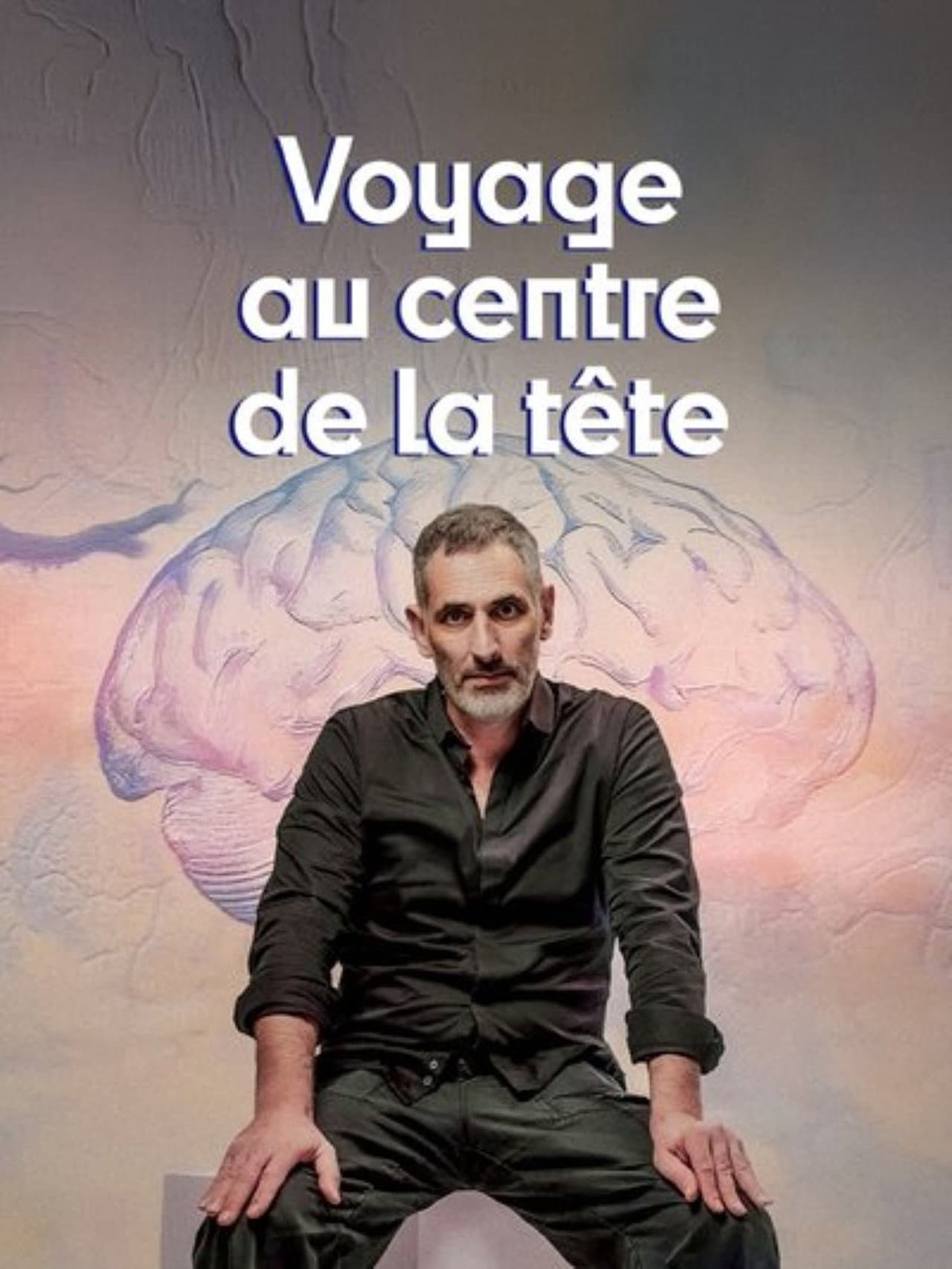 Voyage au centre de la tête preview 1