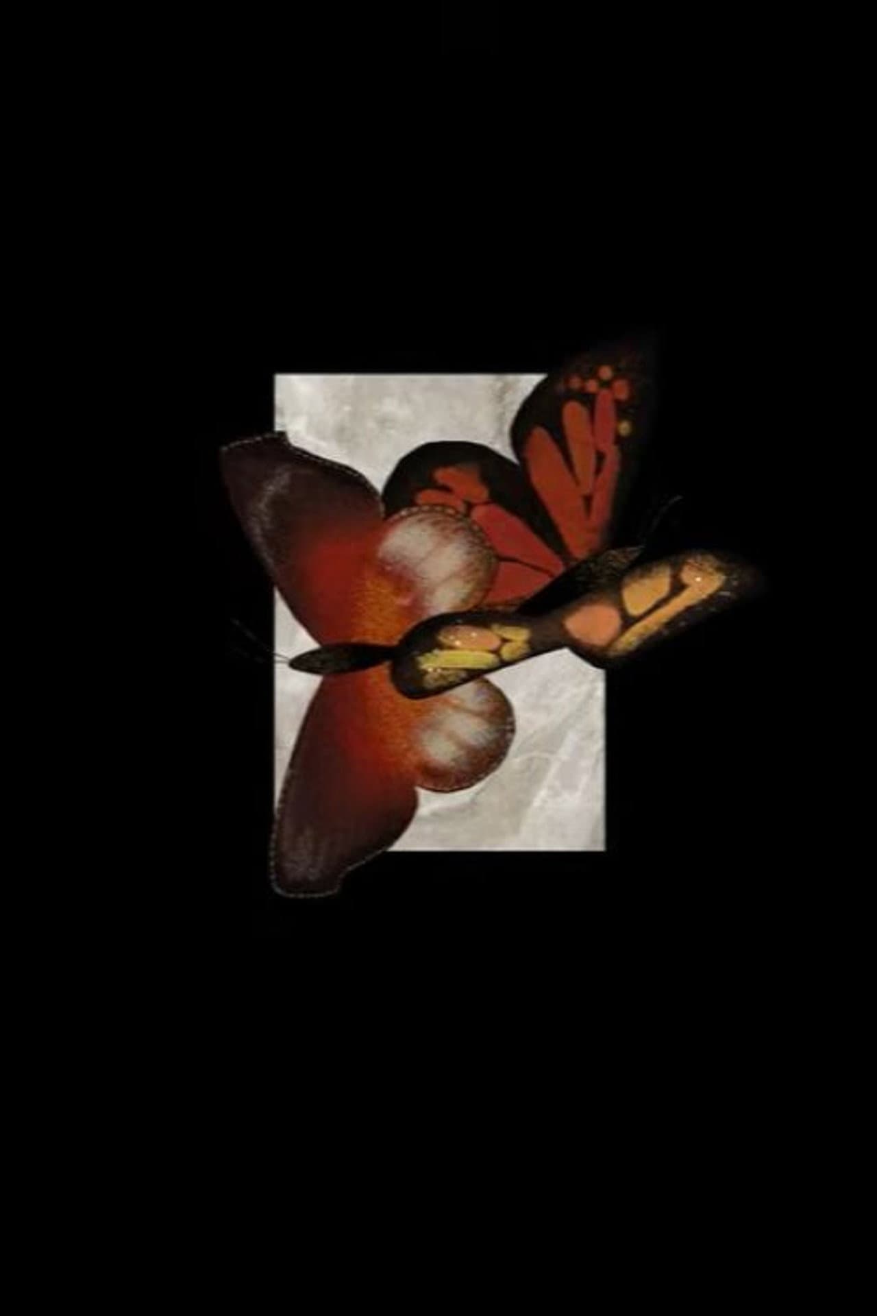 Cocoon preview 1