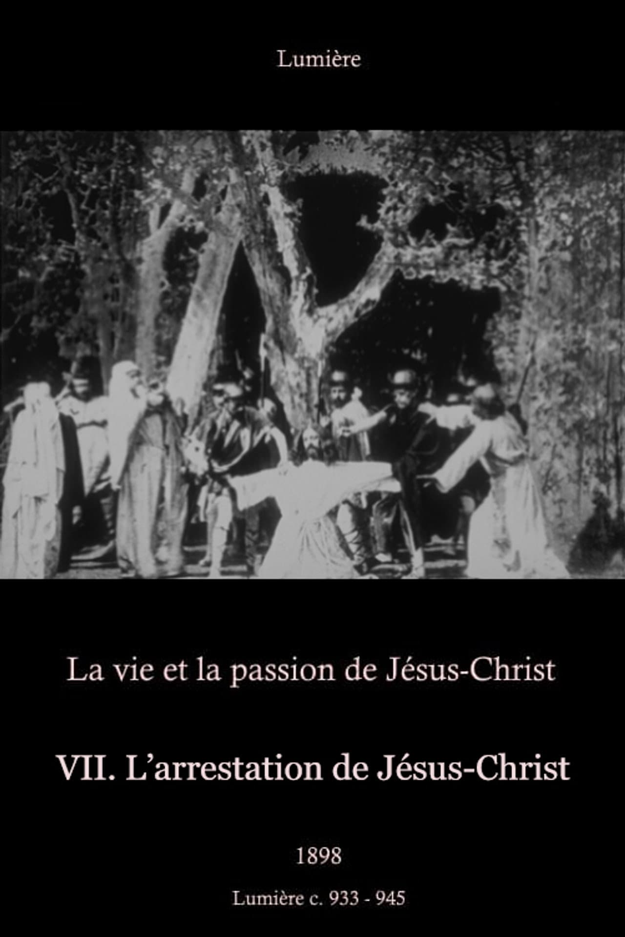 VII: The Arrest of Jesus Christ preview 2