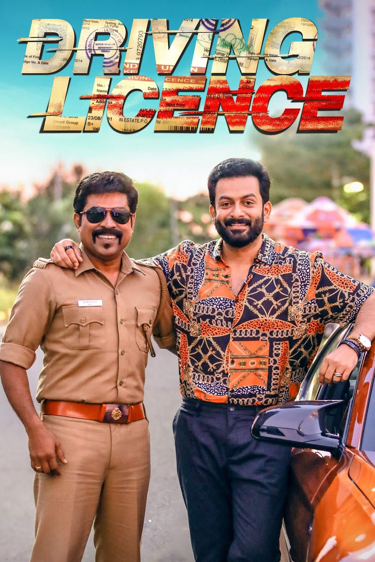 Driving Licence preview 2
