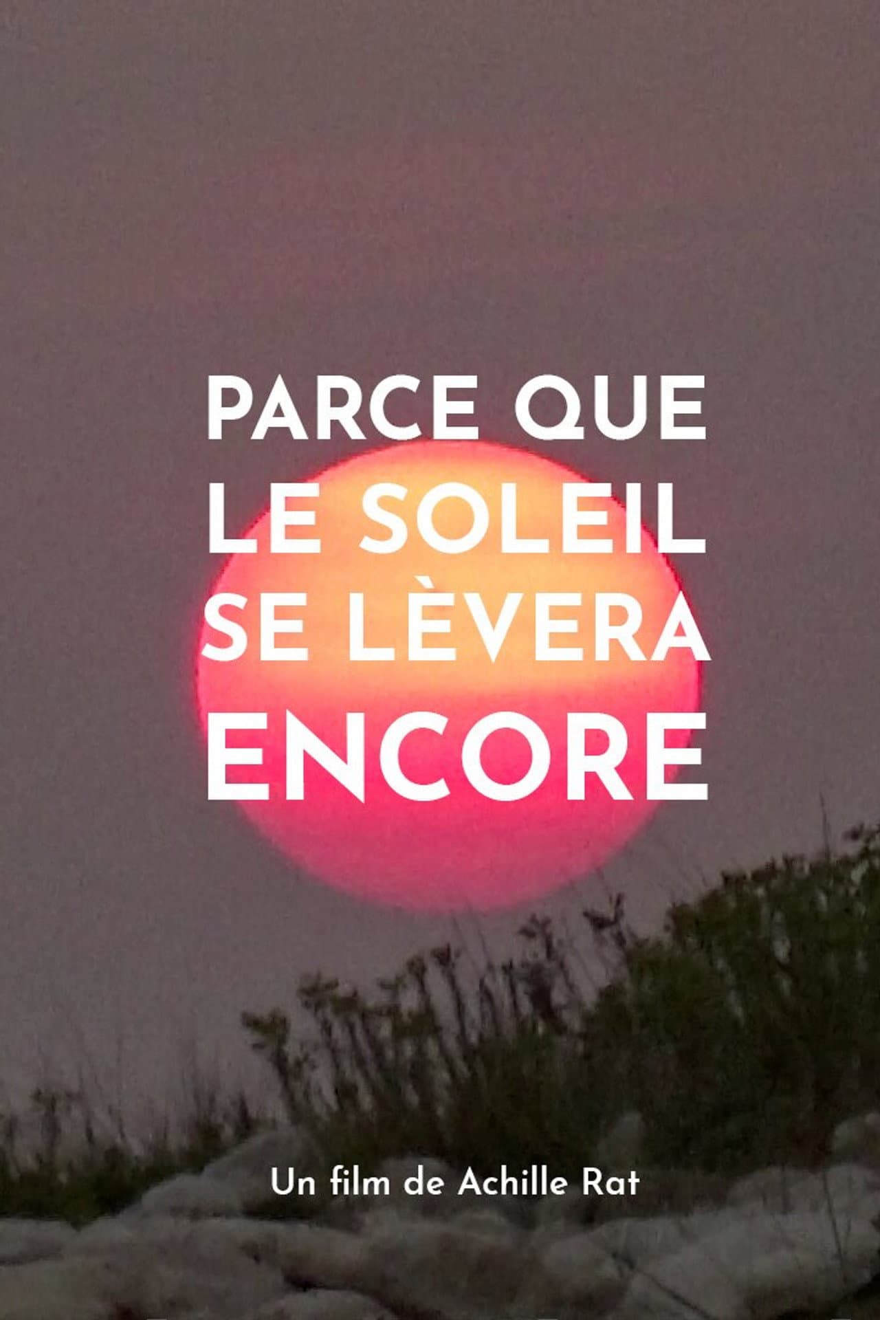 Parce que le soleil se lèvera encore preview 1