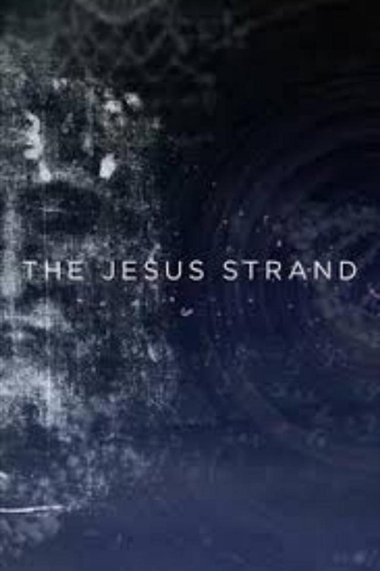 The Jesus Strand: A Search for DNA preview 2