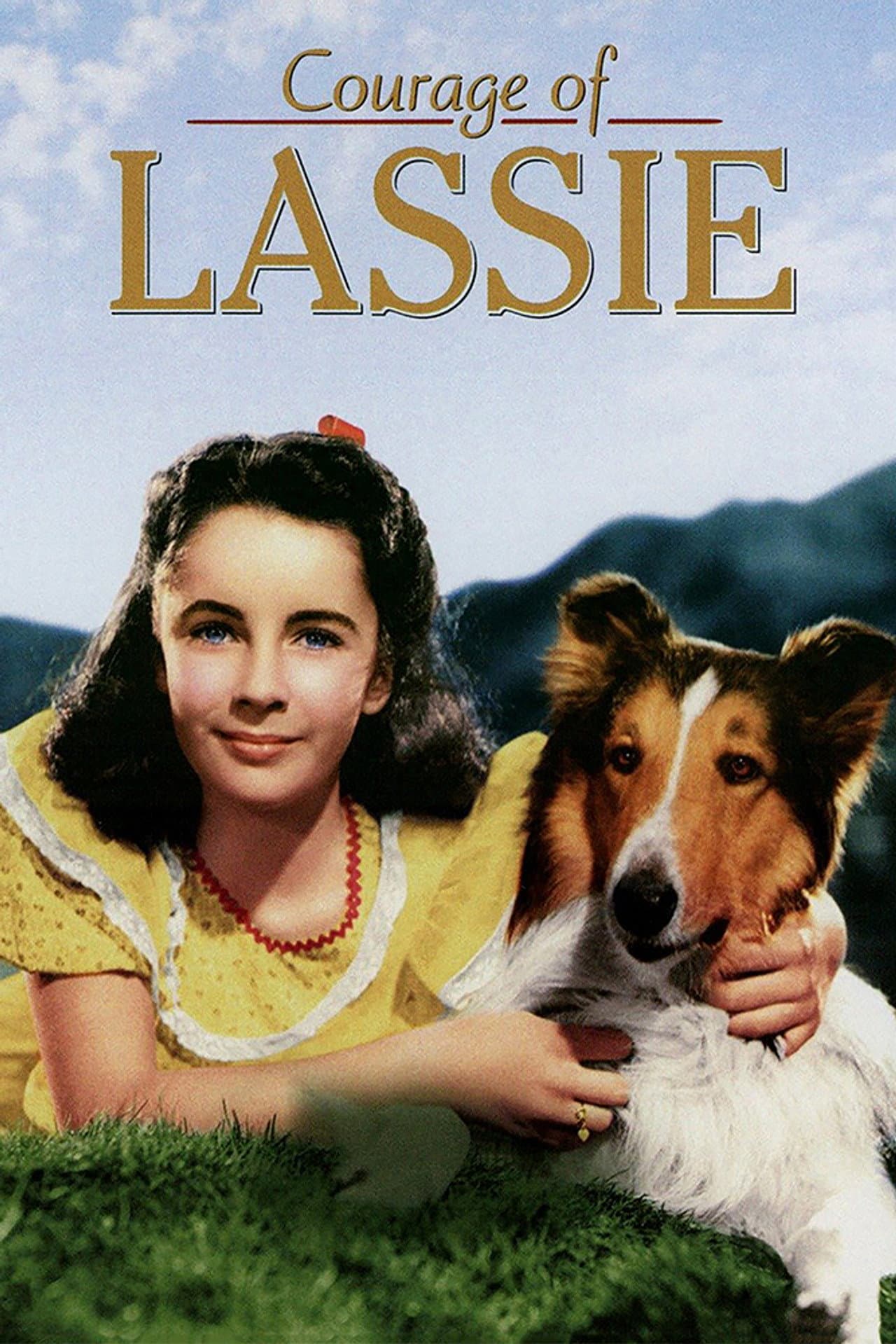 Courage of Lassie preview 2