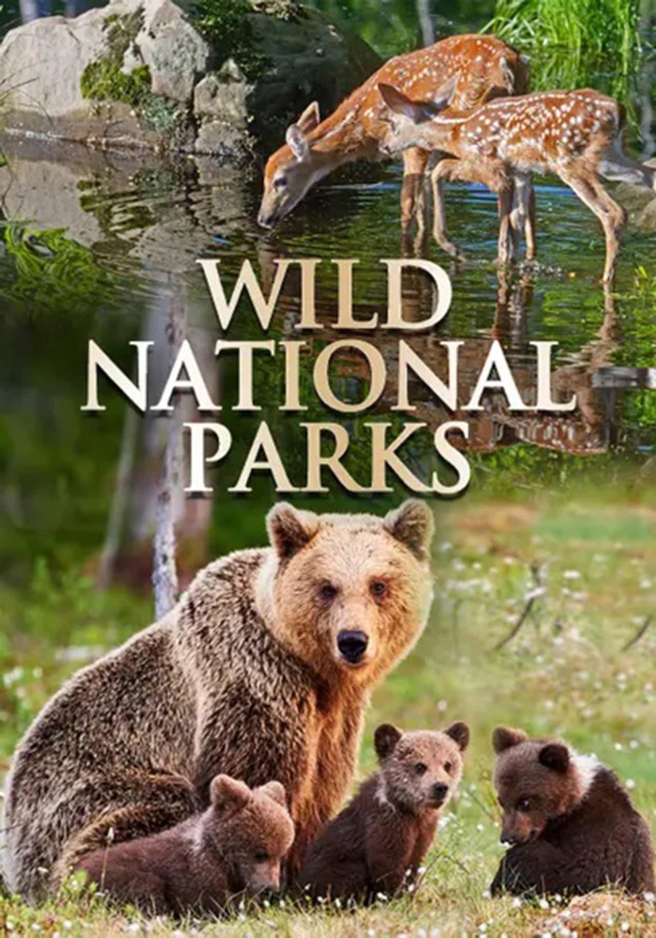 Wild National Parks preview 1