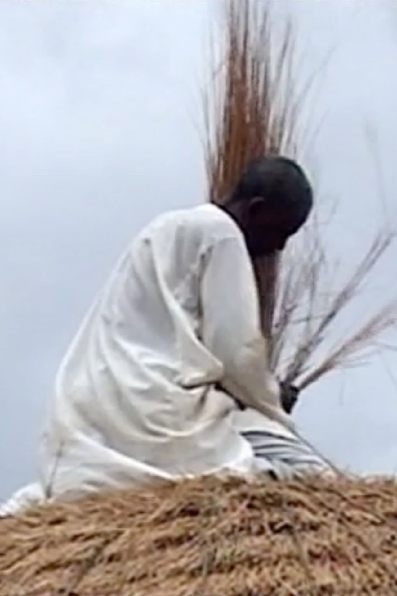Diyam Wala: Water and Life in Kalfou Cameroon preview 1
