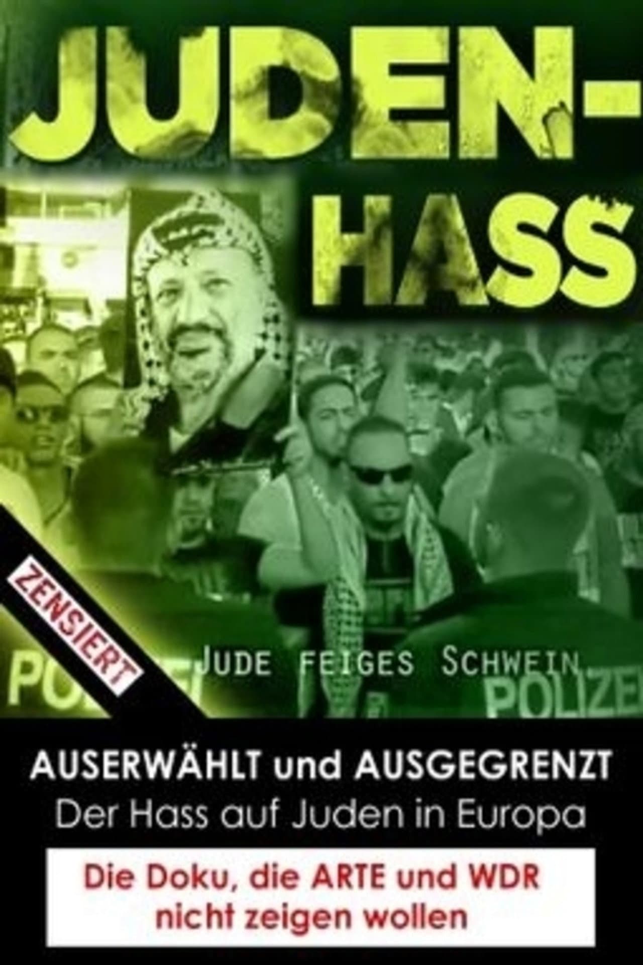 Chosen and Excluded - Jew Hatred in Europe preview 2