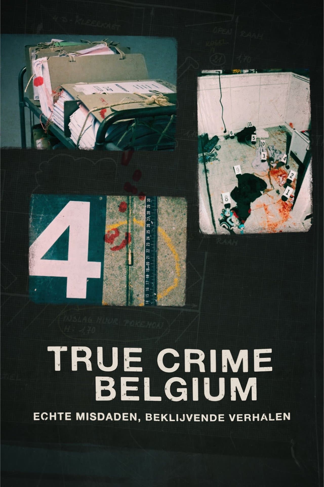 True Crime Belgium preview 2