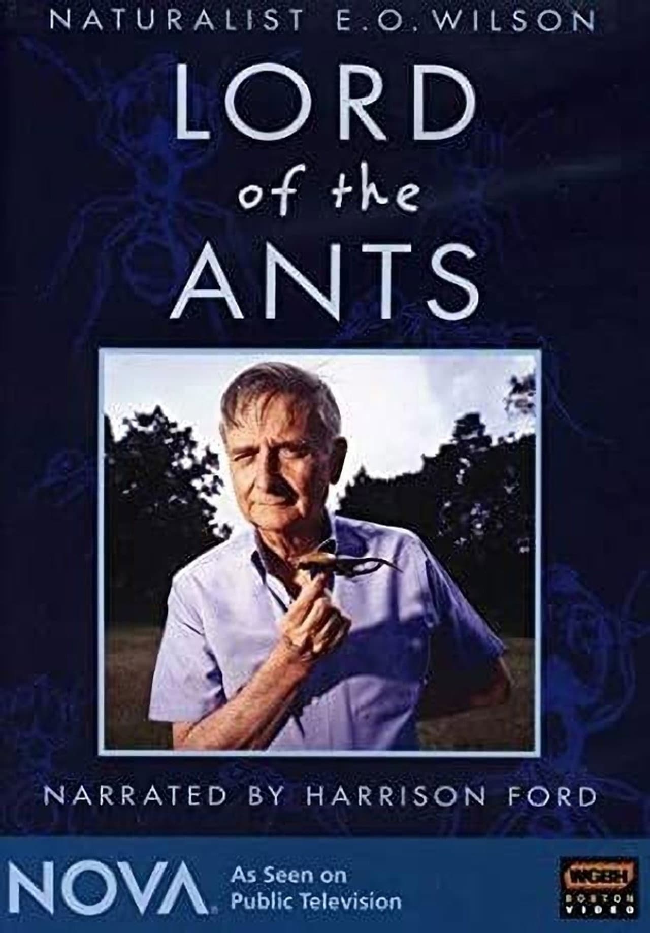 Lord of the Ants preview 1