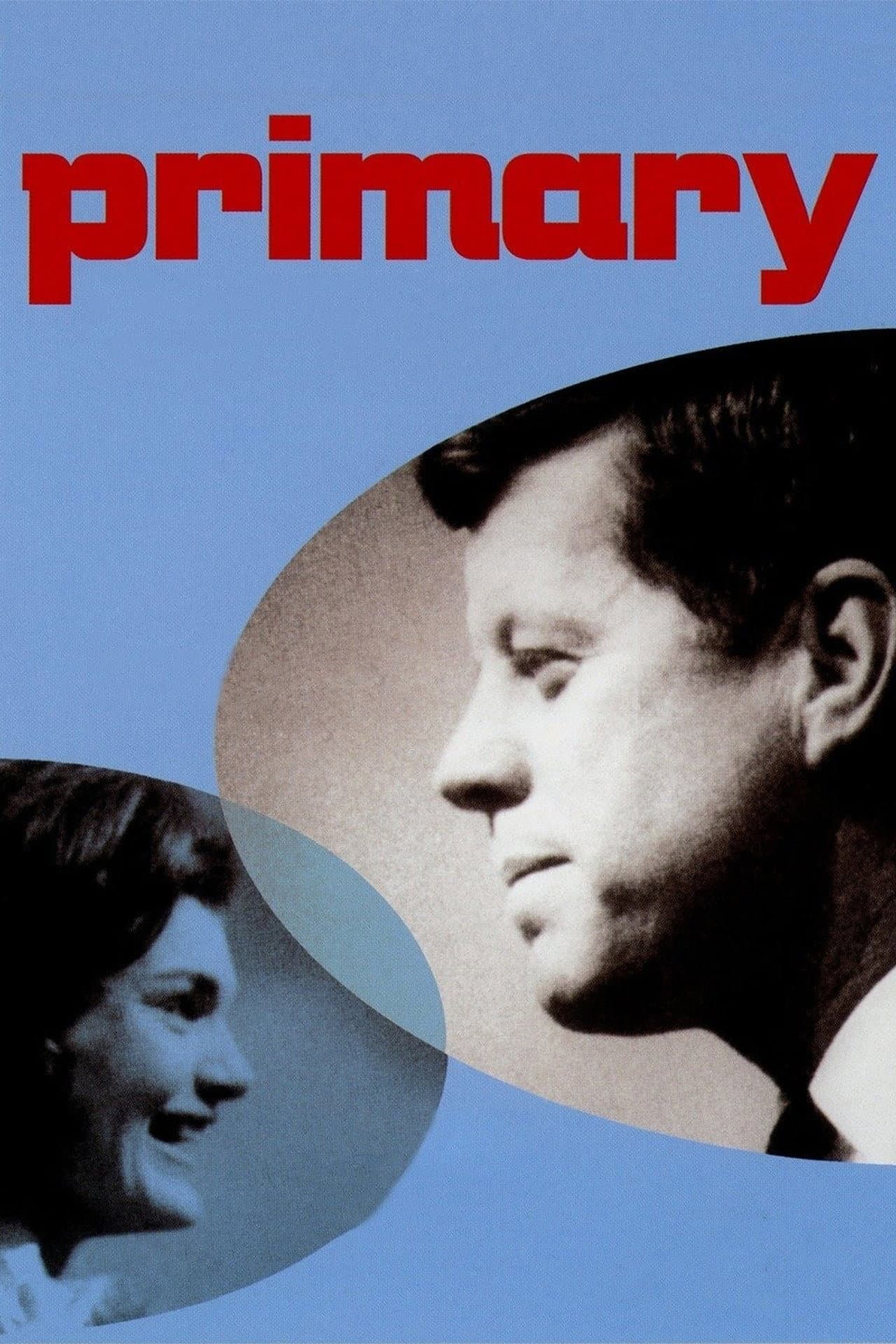 Primary preview 2