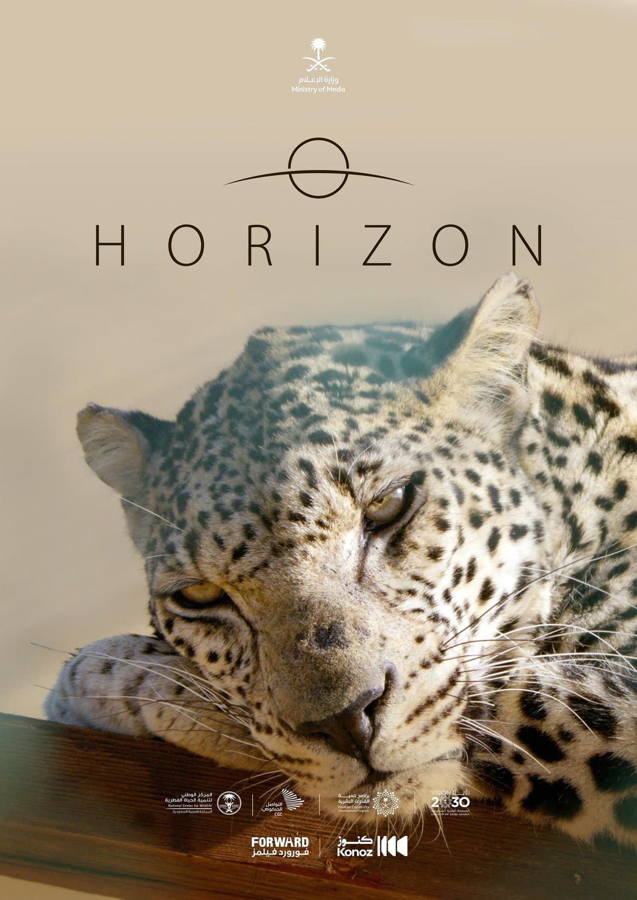 Horizon preview 2