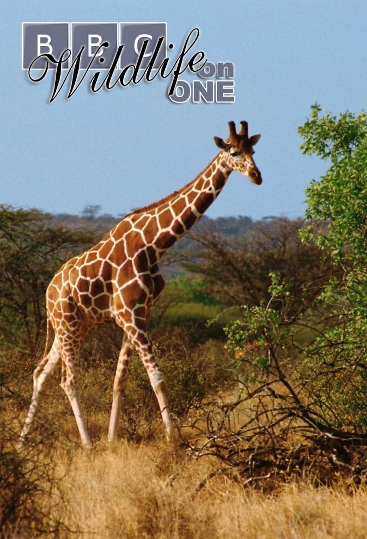 Wildlife on One preview 1